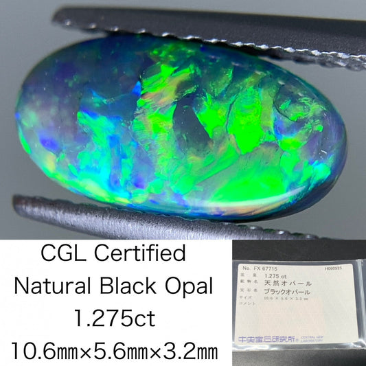 ブラックオパール  天然  1.275ct  中央宝石ソーティング付き  10.6㎜×5.6㎜×3.2㎜   天然 ルース（ 裸石 ） 5348Y