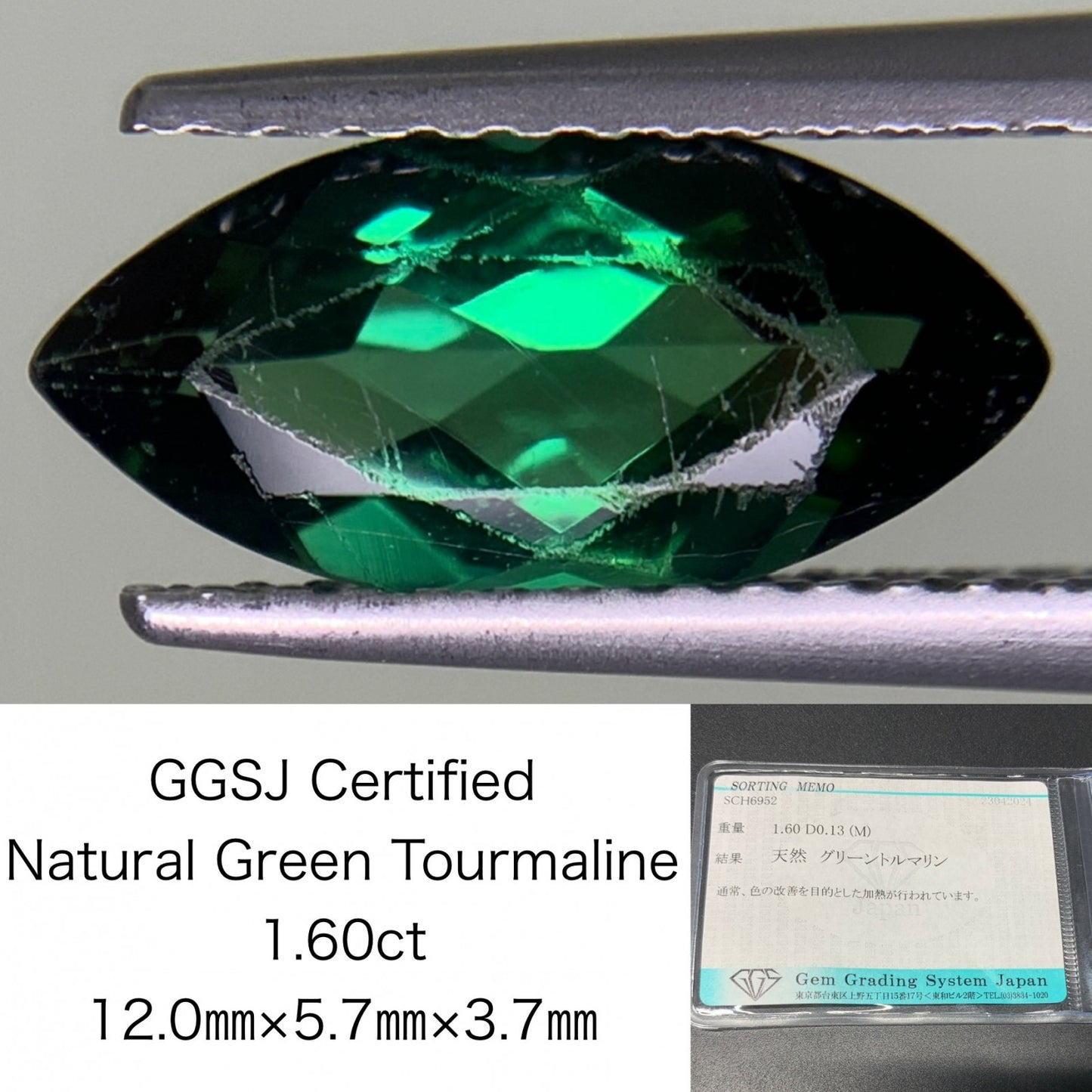 グリーントルマリン 1.60ct 宝石ソーティング付き  12.0㎜×5.7㎜×3.7㎜  ルース（ 裸石 ） 2206Y
