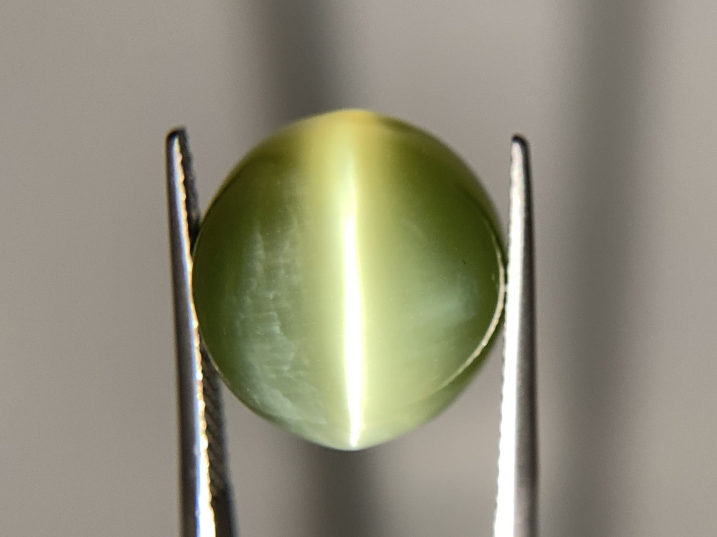 ネフライトキャッツアイ 天然 14.569ct 宝石ソーティング付き 14.9㎜×13.8㎜×8.7㎜ ルース（ 裸石 ） 8258Y