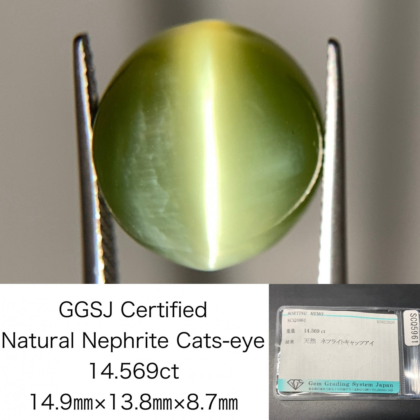ネフライトキャッツアイ 天然 14.569ct 宝石ソーティング付き 14.9㎜×13.8㎜×8.7㎜ ルース（ 裸石 ） 8258Y
