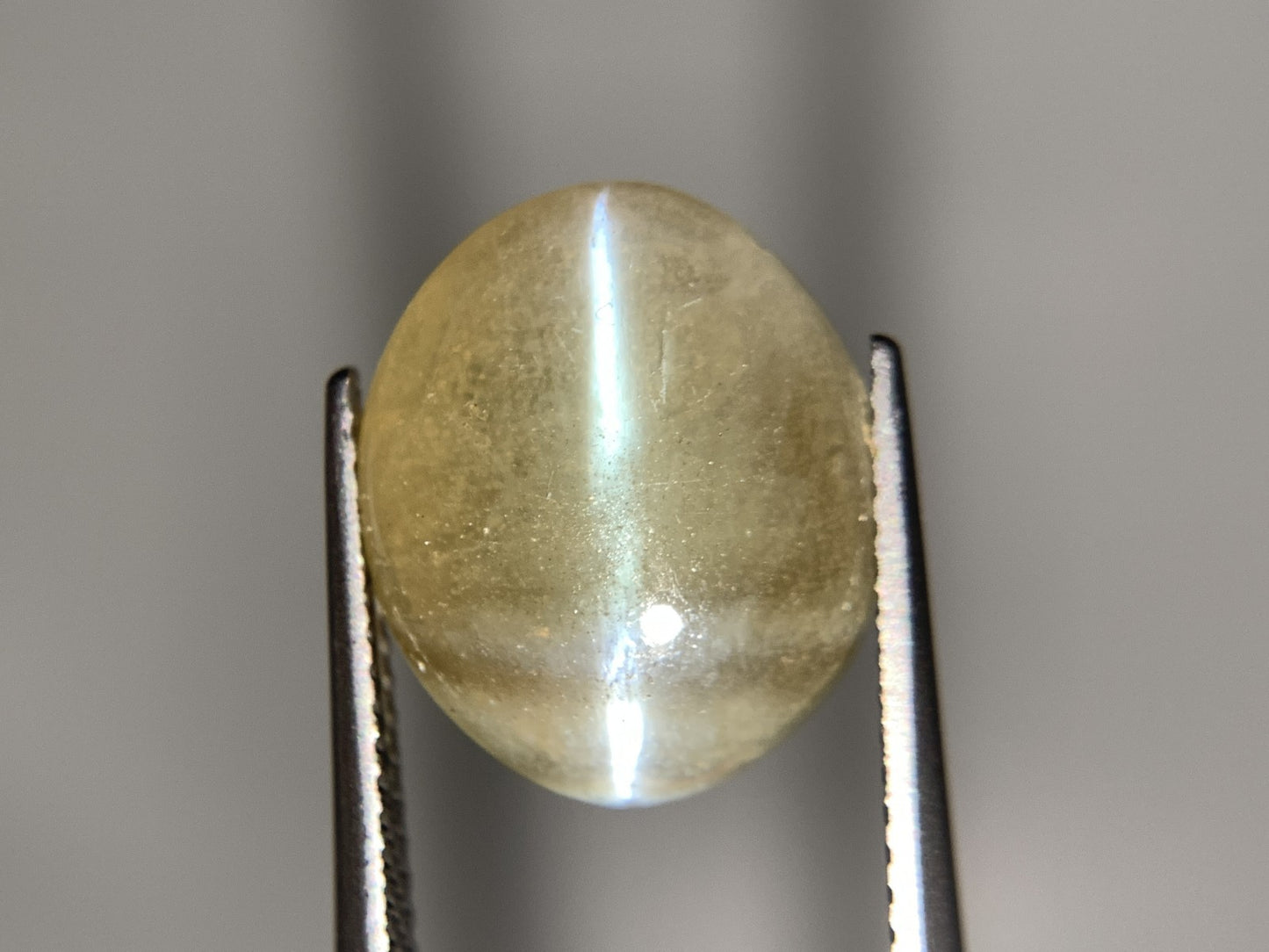 クリソベリルキャッツアイ 天然 5.637ct 宝石ソーティング付き 14.4㎜×12.0㎜×3.1㎜ ルース（ 裸石 ） 8242Y