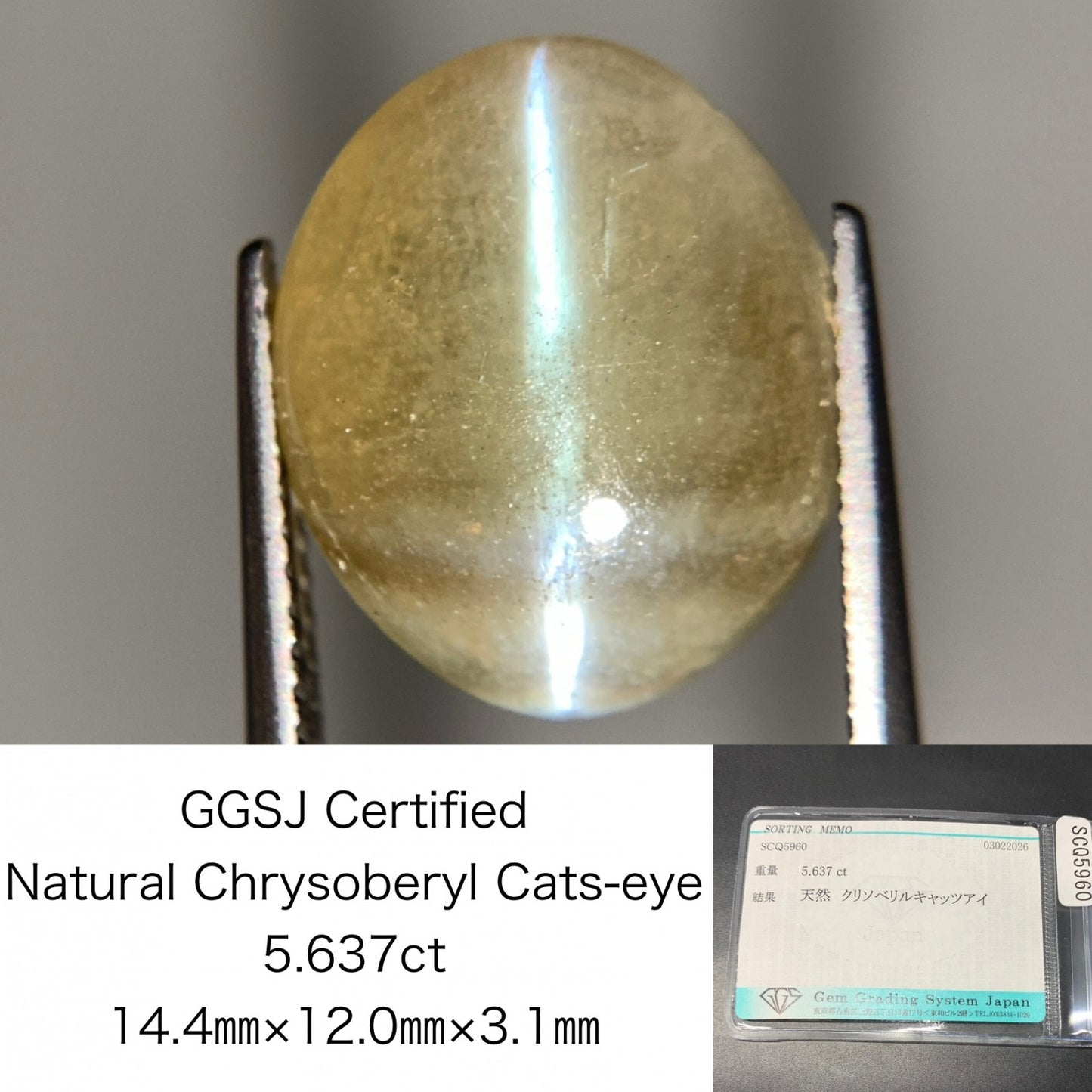 クリソベリルキャッツアイ 天然 5.637ct 宝石ソーティング付き 14.4㎜×12.0㎜×3.1㎜ ルース（ 裸石 ） 8242Y