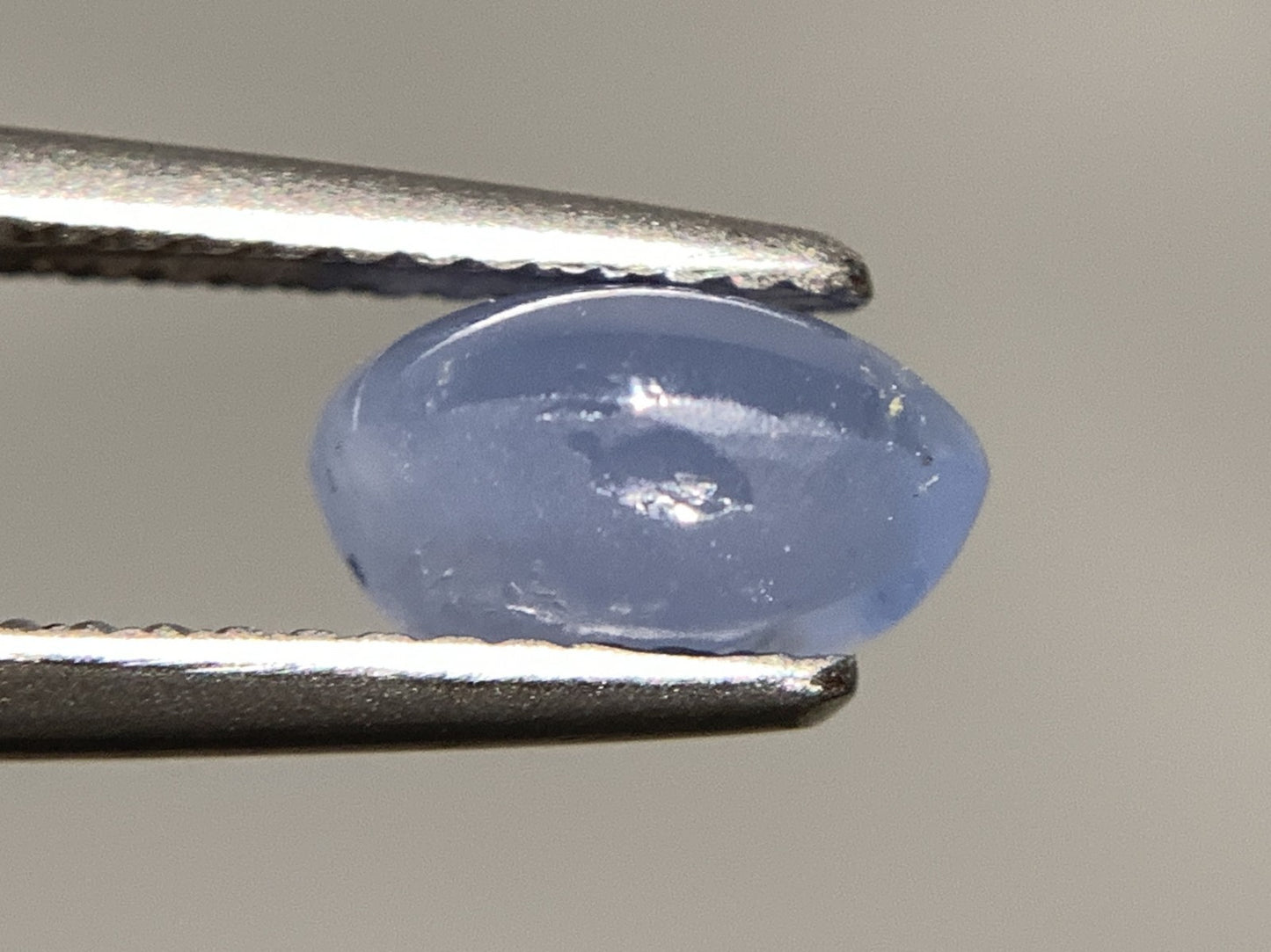 スターサファイア 天然 2.527ct 宝石ソーティング付き 8.2㎜×6.2㎜×4.5㎜ ルース（ 裸石 ） 7054Y