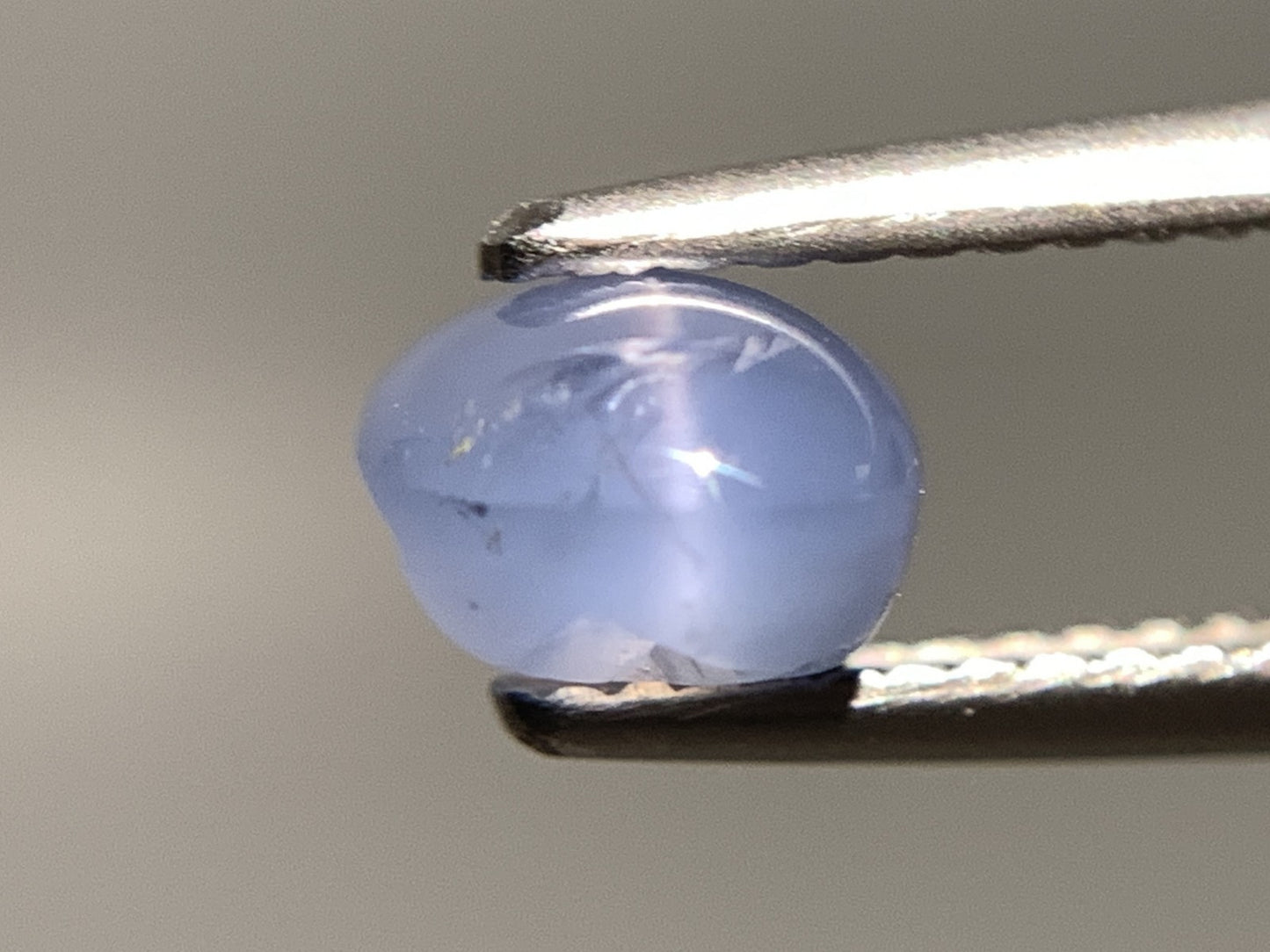 スターサファイア 天然 2.527ct 宝石ソーティング付き 8.2㎜×6.2㎜×4.5㎜ ルース（ 裸石 ） 7054Y