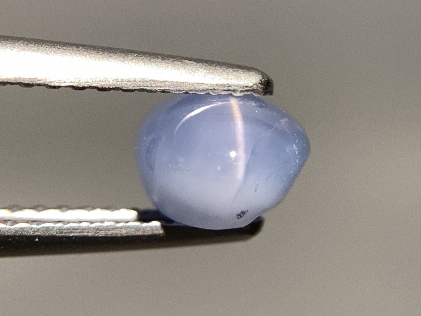 スターサファイア 天然 2.527ct 宝石ソーティング付き 8.2㎜×6.2㎜×4.5㎜ ルース（ 裸石 ） 7054Y