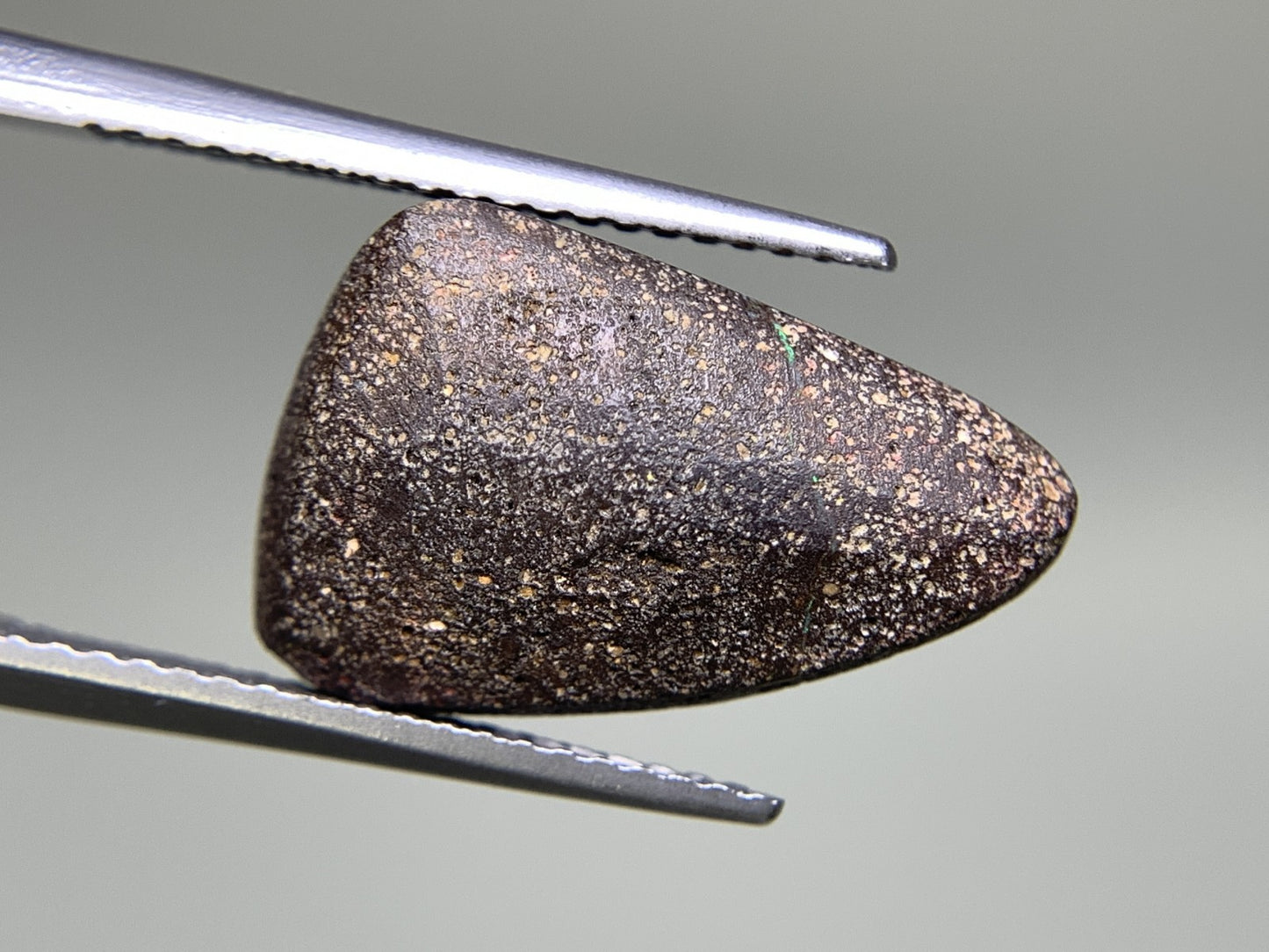 ボルダーオパール 天然  7.336ct  宝石ソーティング付き  17.1㎜×11.0㎜×4.9㎜  ルース（ 裸石 ）  5484Y