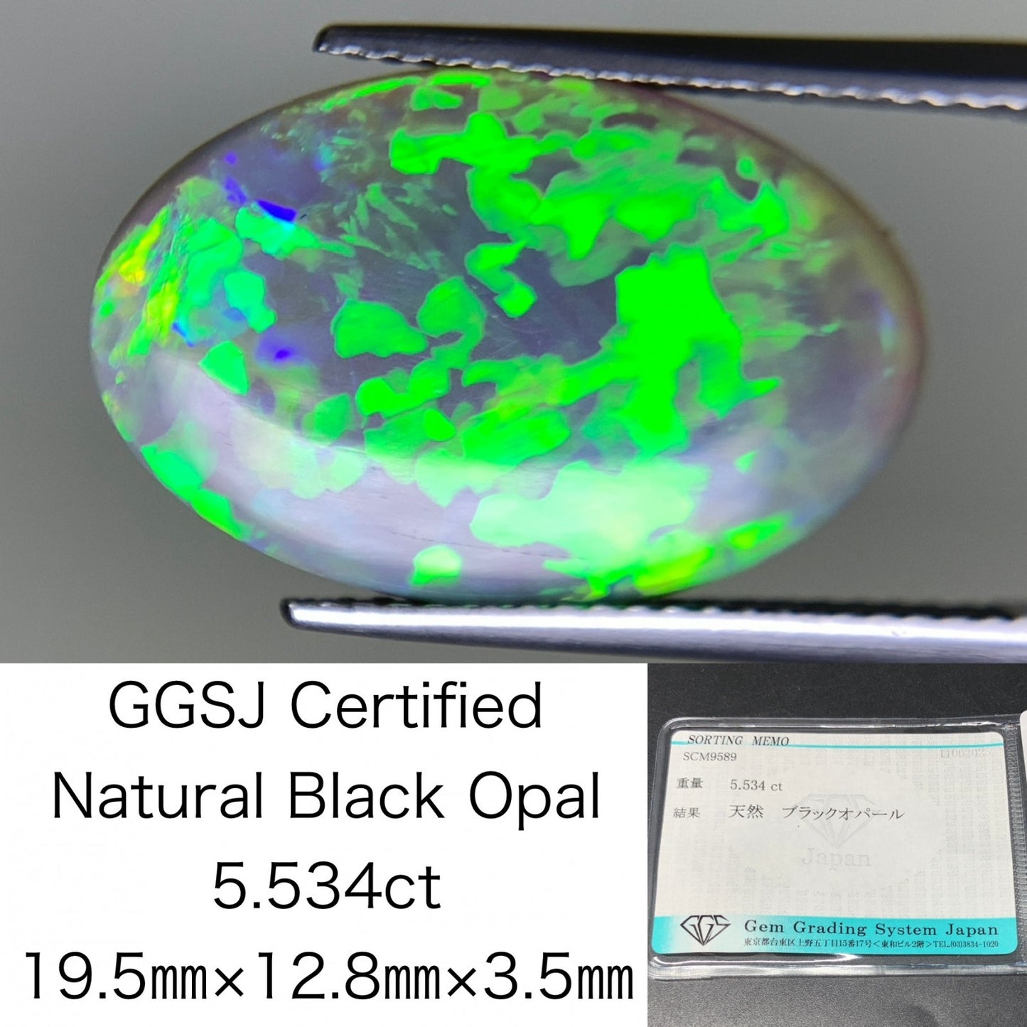 ブラックオパール 天然 5.534 ct 宝石ソーティング付き 19.5㎜×12.8㎜×3.5㎜ ルース（ 裸石 ） 5429Y