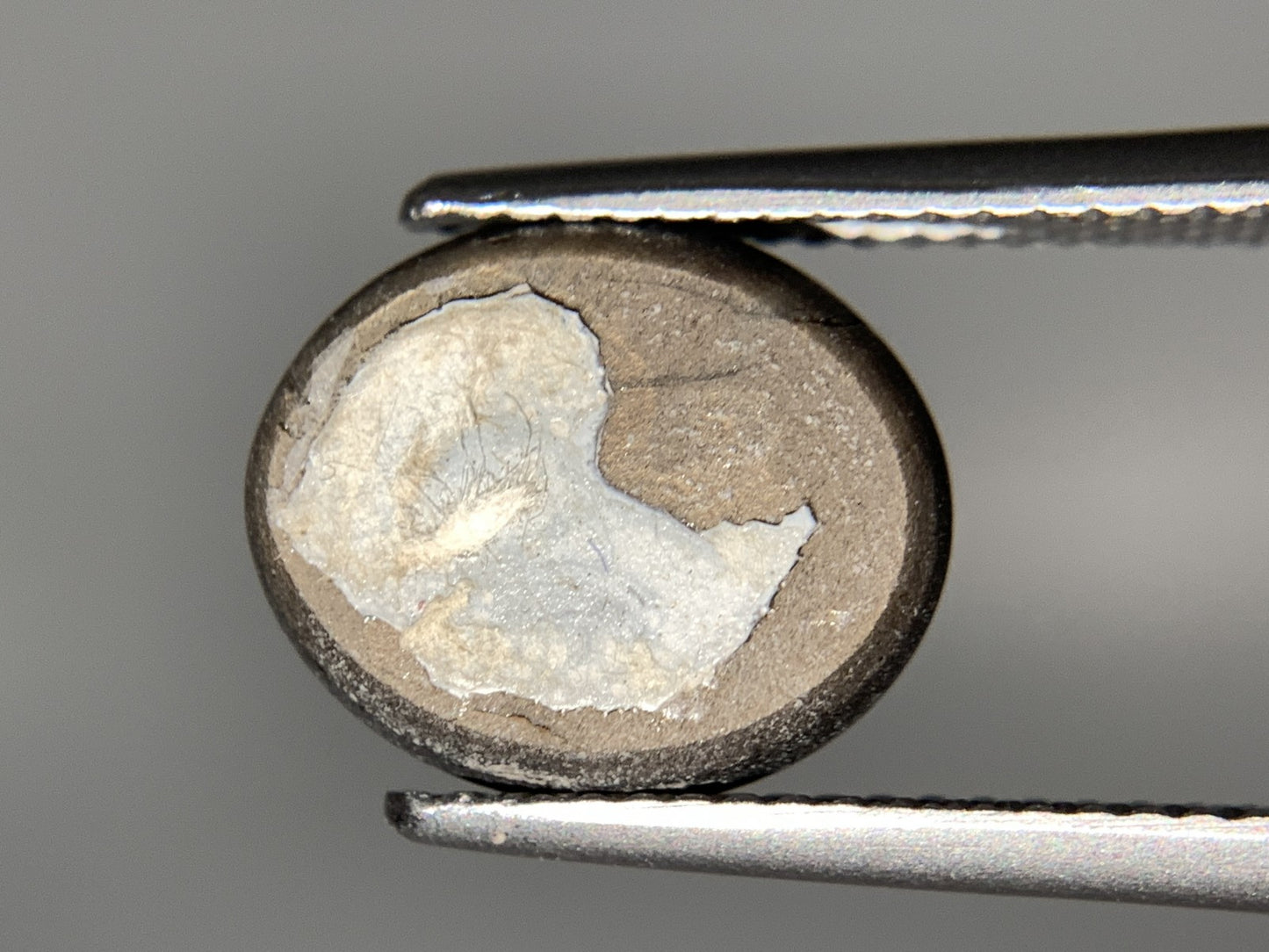 ブラックスターサファイア 天然 7.595ct 宝石ソーティング付き 11.9㎜×10.0㎜×5.2㎜ ルース（ 裸石 ） 7070Y