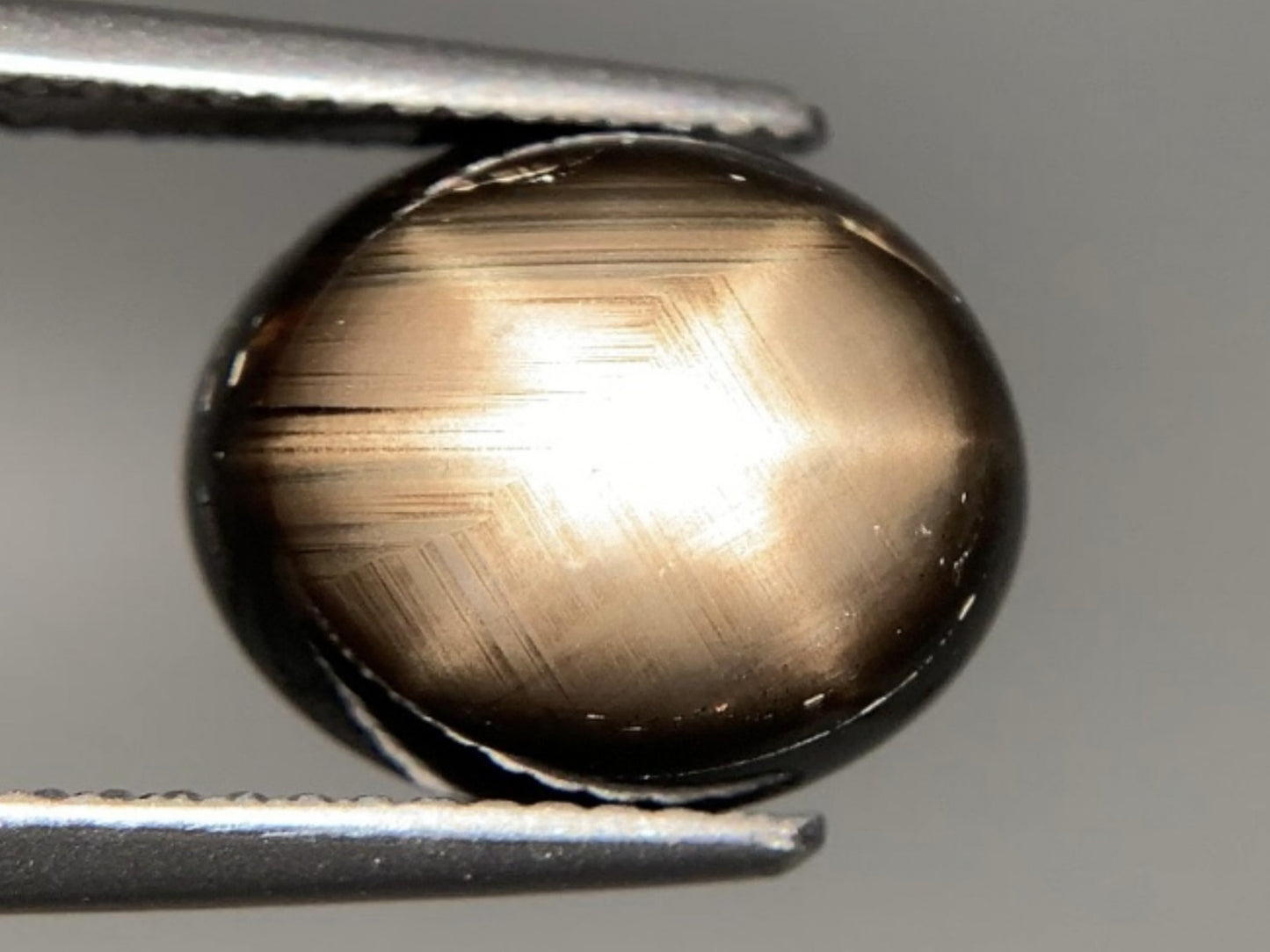 ブラックスターサファイア 天然 7.595ct 宝石ソーティング付き 11.9㎜×10.0㎜×5.2㎜ ルース（ 裸石 ） 7070Y