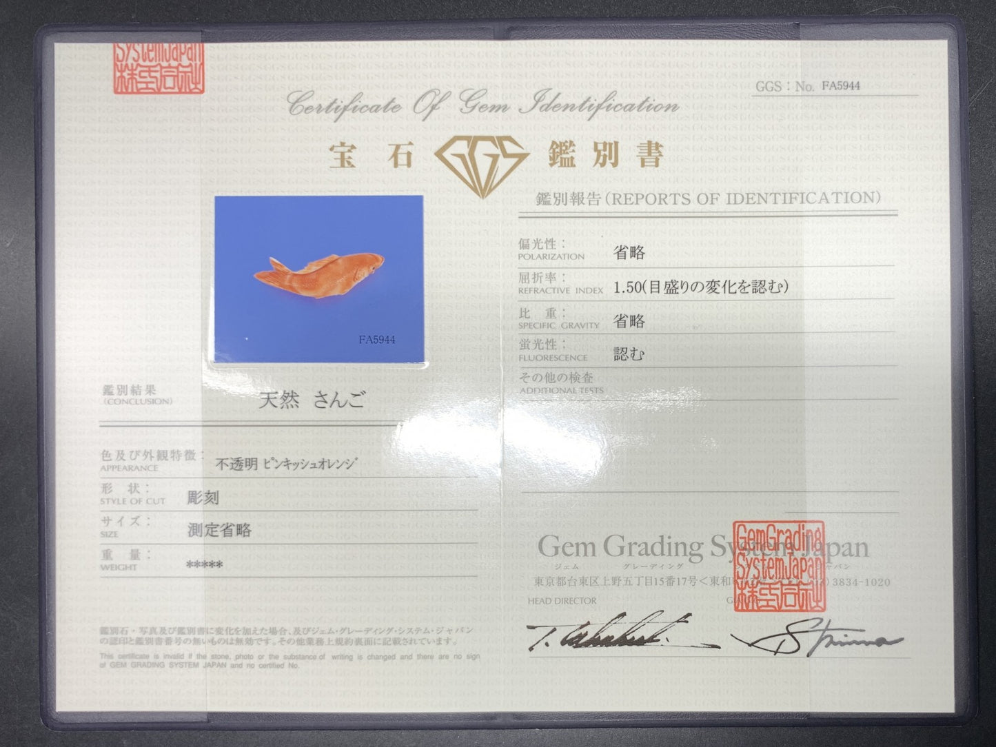 サンゴ　（さんご　珊瑚） 天然 81.40ct　宝石鑑別書付き 64.7㎜×20.0㎜×11.4㎜ ルース（ 裸石 ） 7160Y