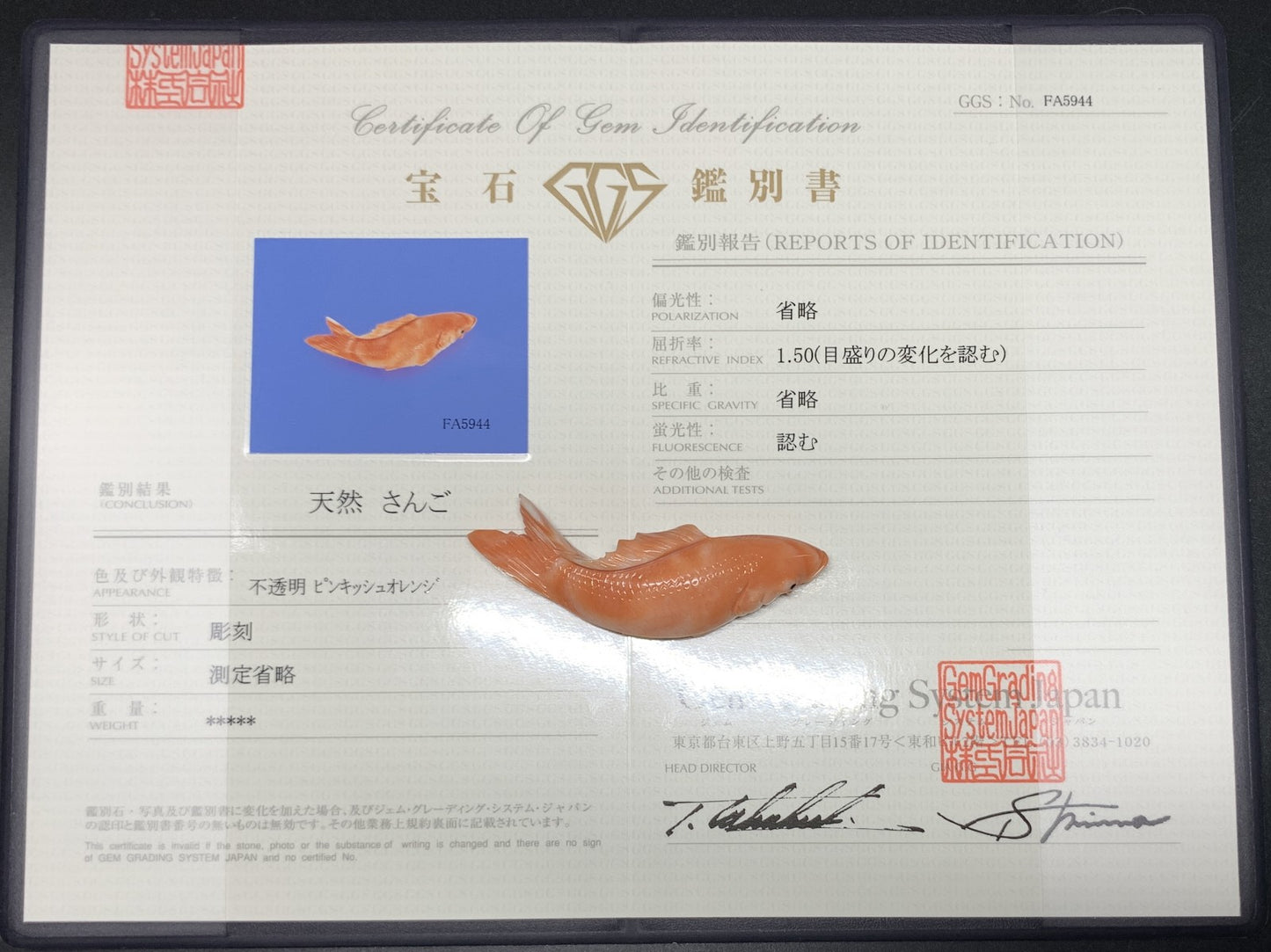 サンゴ　（さんご　珊瑚） 天然 81.40ct　宝石鑑別書付き 64.7㎜×20.0㎜×11.4㎜ ルース（ 裸石 ） 7160Y