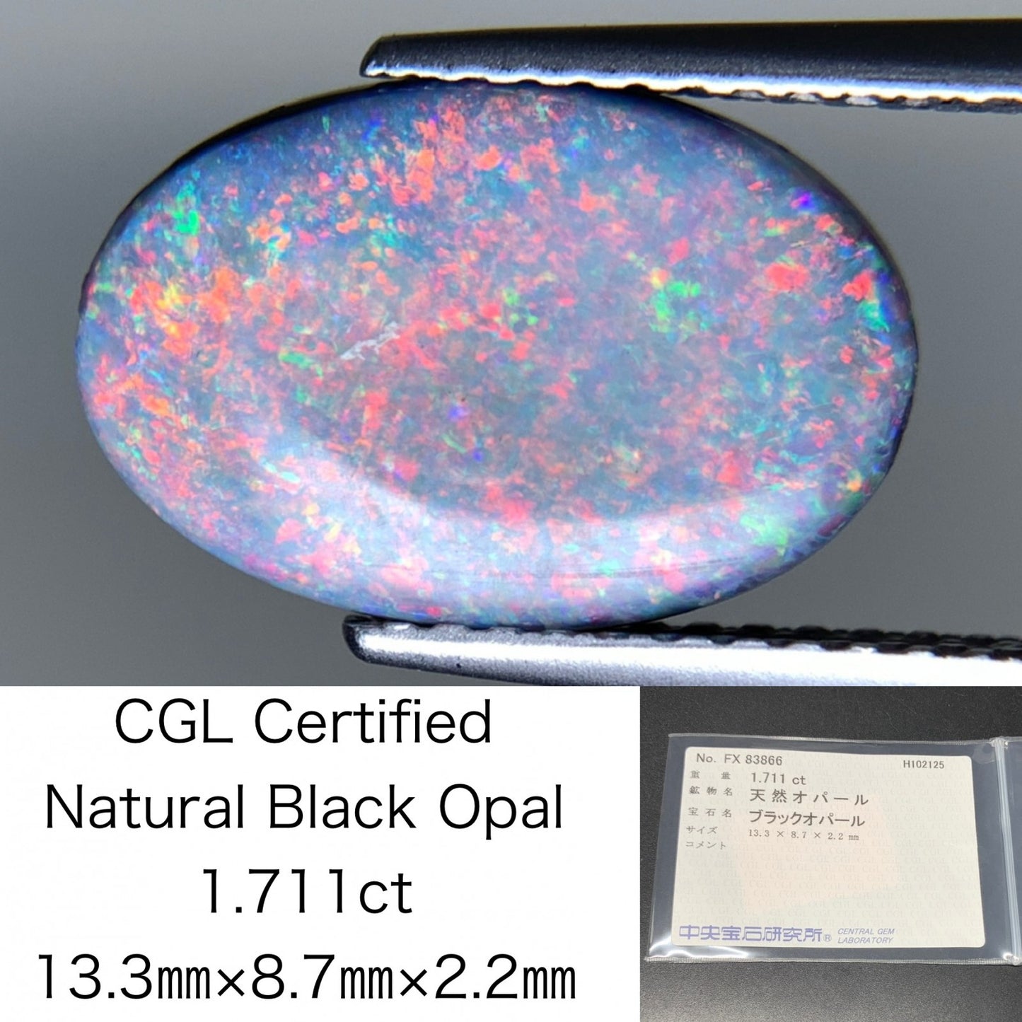 ブラックオパール 天然 1.711ct 中央宝石ソーティング付き 13.3㎜×8.7㎜×2.2㎜ ルース（ 裸石 ） 7102Y