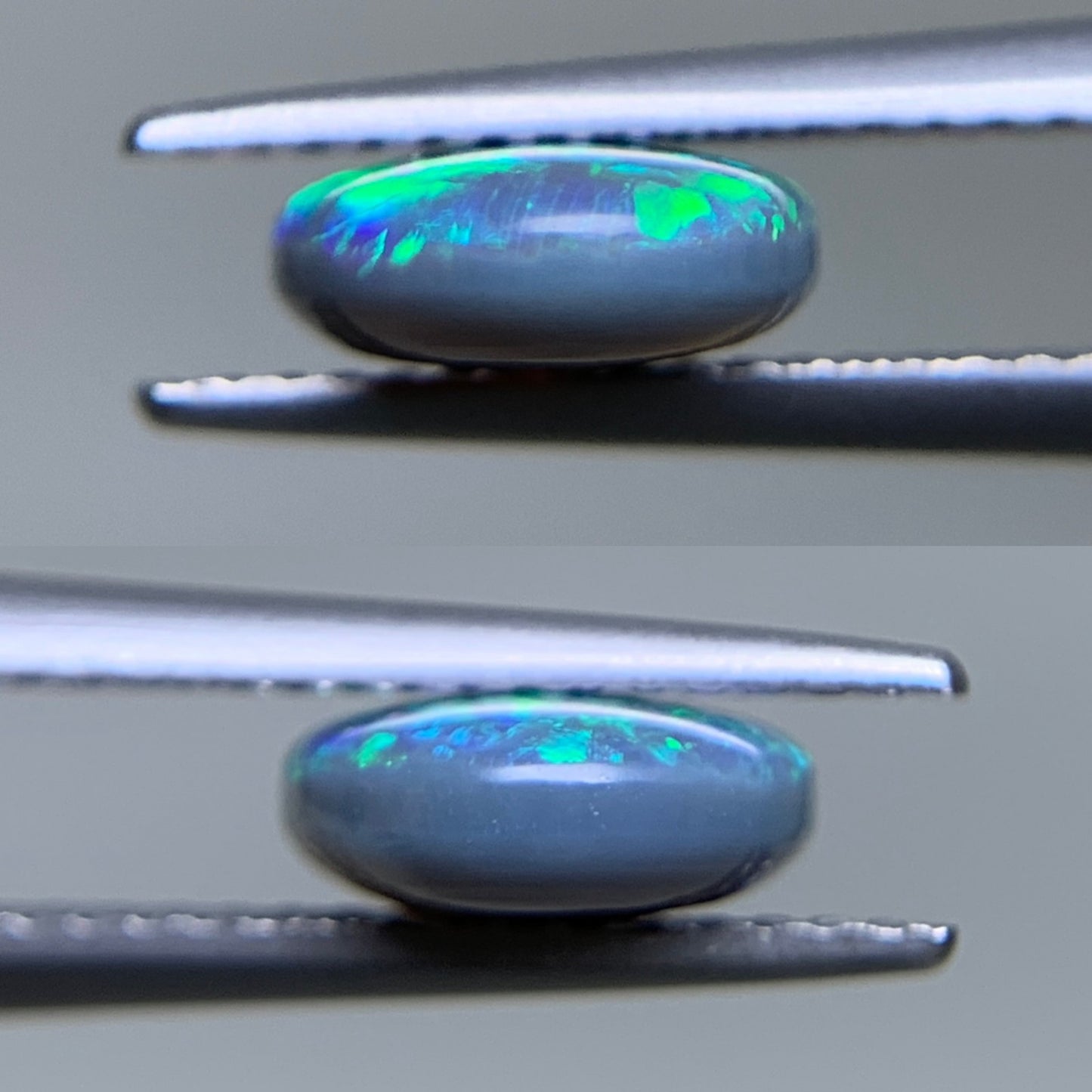 ブラックオパール 天然 1.643ct 中央宝石ソーティング付き 9.9㎜×7.8㎜×3.3㎜ ルース（ 裸石 ） 6231Y