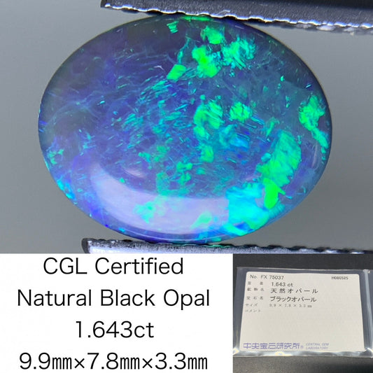 ブラックオパール 天然 1.643ct 中央宝石ソーティング付き 9.9㎜×7.8㎜×3.3㎜ ルース（ 裸石 ） 6231Y