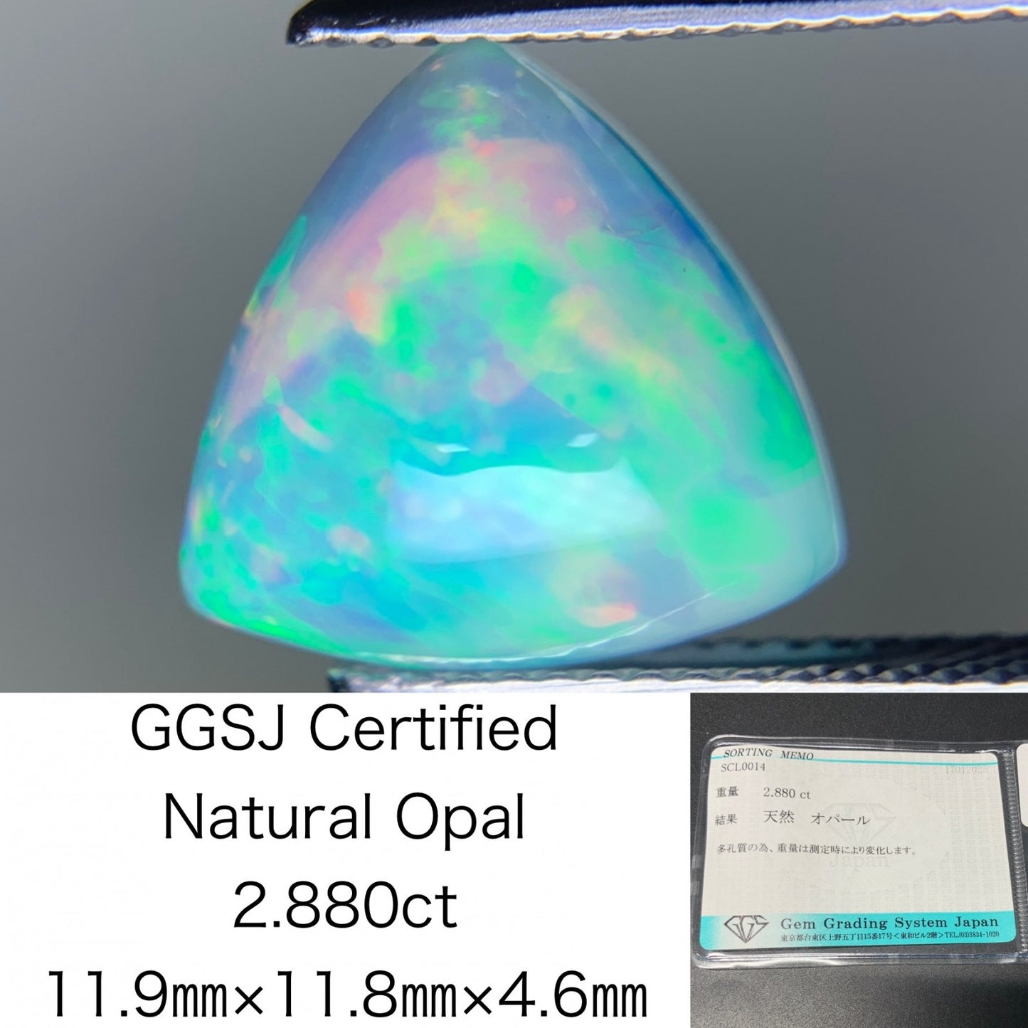 オパール 2.880ct 宝石ソーティング付き  11.9㎜×11.8㎜×4.6㎜  ルース（ 裸石 ） 3956Y