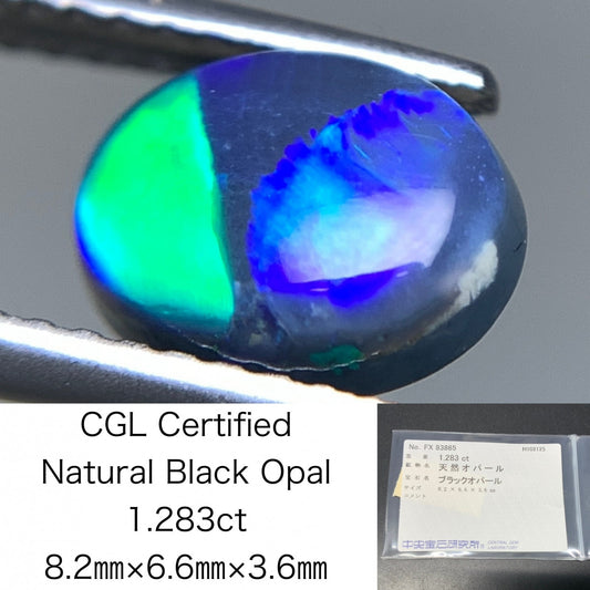 ブラックオパール 天然 1.283ct 中央宝石ソーティング付き 8.2㎜×6.6㎜×3.6㎜ ルース（ 裸石 ） 7098Y