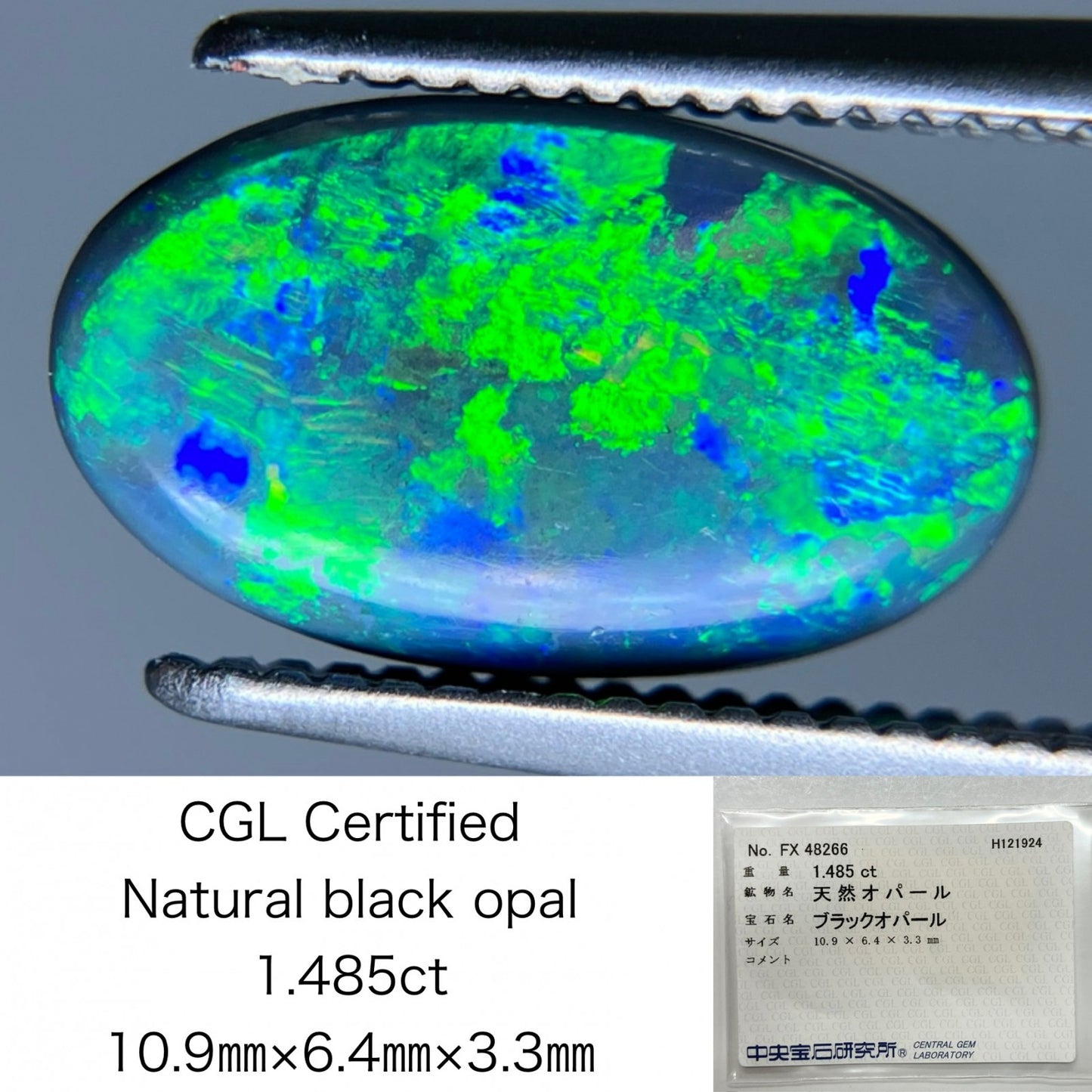 ブラックオパール 1.485ct 中央宝石ソーティング付き 10.9㎜×6.4㎜×3.3㎜ ルース（ 裸石 ） 3573S