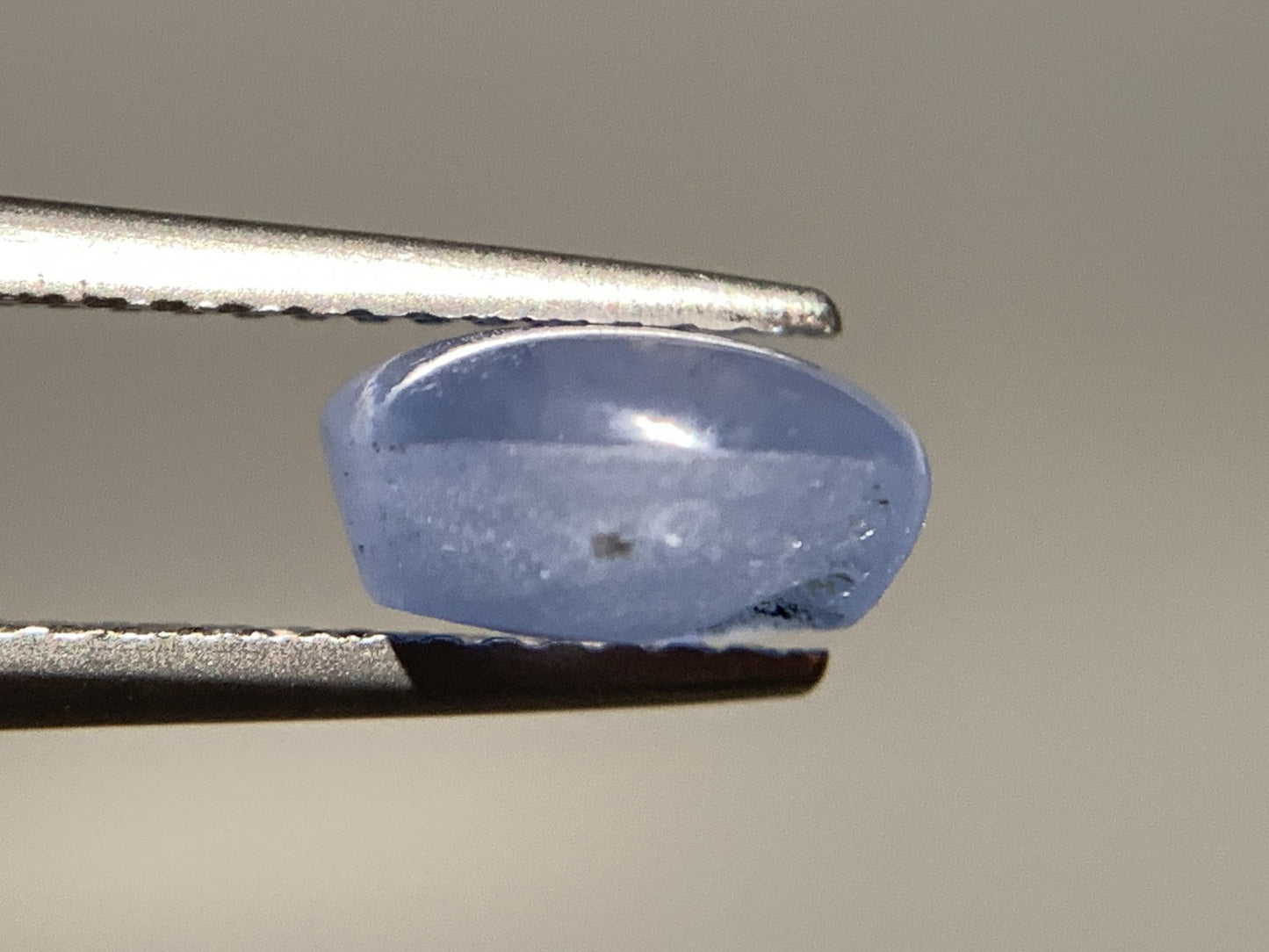 スターサファイア 天然 3.095ct 宝石ソーティング付き 8.4㎜×7.3㎜×4.4㎜ ルース（ 裸石 ） 7199Y