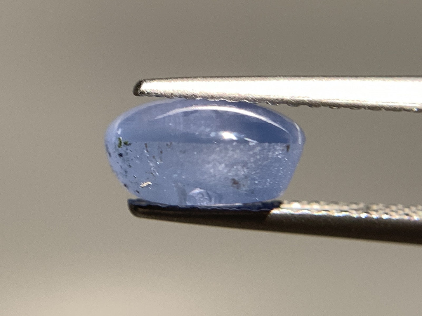 スターサファイア 天然 3.095ct 宝石ソーティング付き 8.4㎜×7.3㎜×4.4㎜ ルース（ 裸石 ） 7199Y