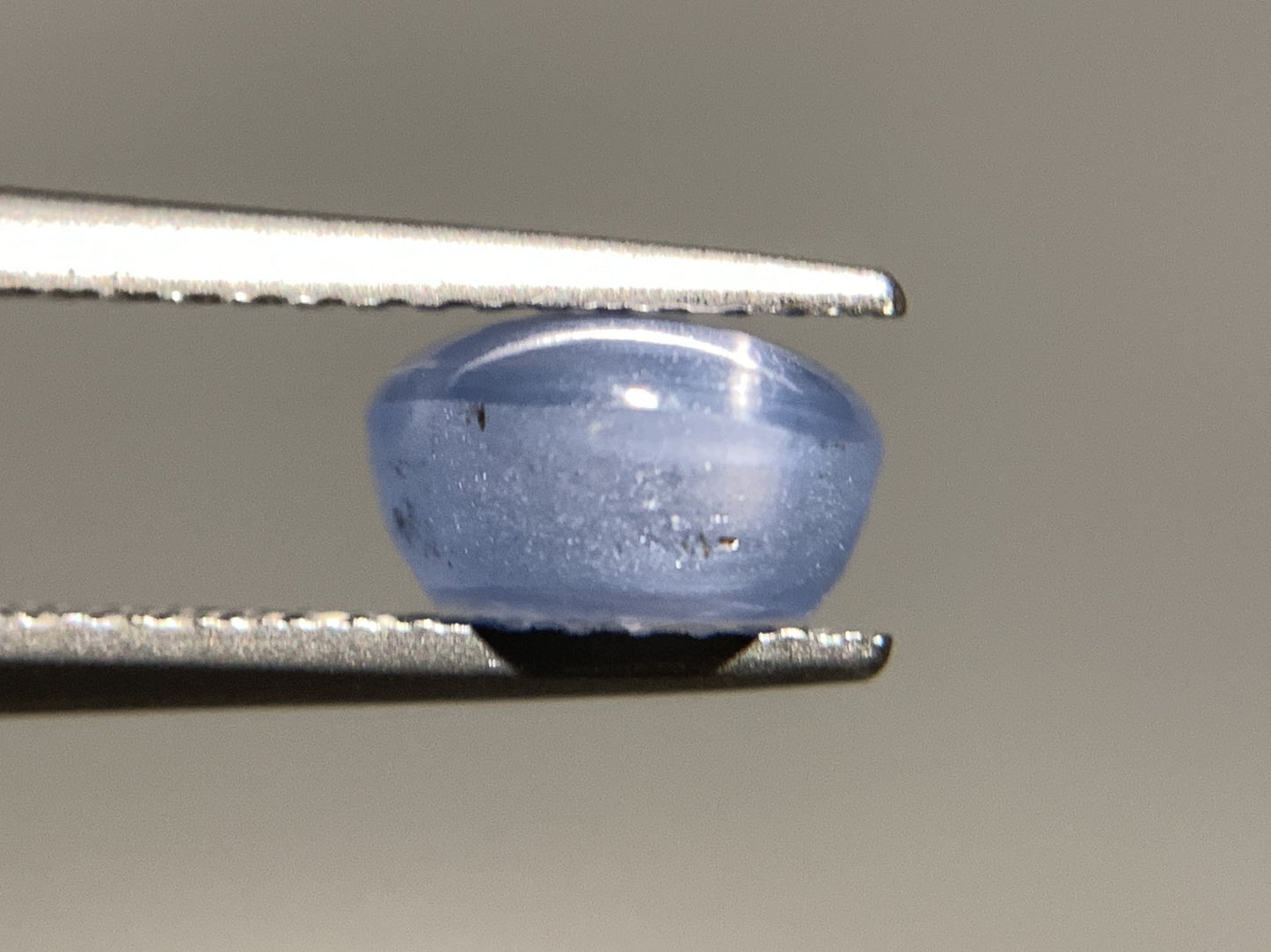 スターサファイア 天然 3.095ct 宝石ソーティング付き 8.4㎜×7.3㎜×4.4㎜ ルース（ 裸石 ） 7199Y