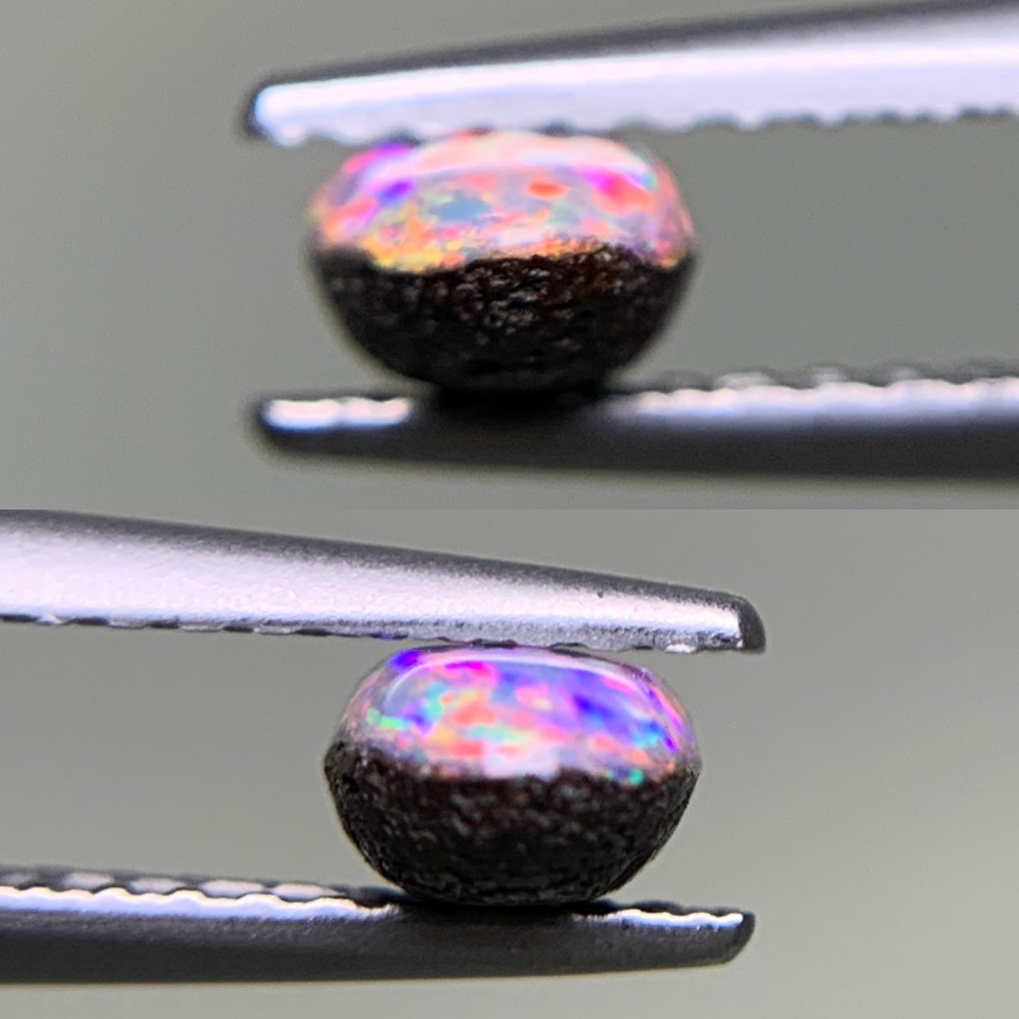 ボルダーオパール 天然 0.742ct 宝石ソーティング付き 7.9㎜×4.3㎜×2.9㎜ ルース（ 裸石 ） 6115Y