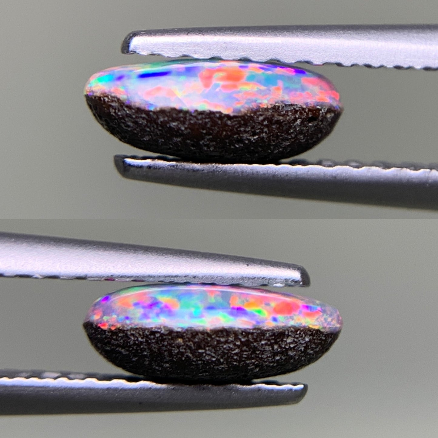 ボルダーオパール 天然 0.742ct 宝石ソーティング付き 7.9㎜×4.3㎜×2.9㎜ ルース（ 裸石 ） 6115Y