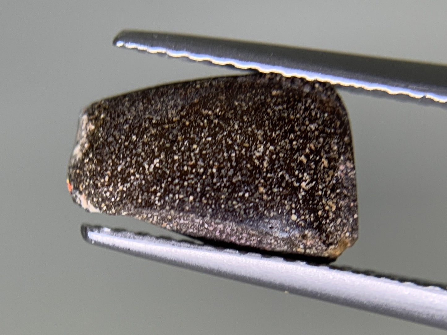 ボルダーオパール 天然 1.450ct 宝石ソーティング付き 10.8㎜×6.4㎜×2.7㎜ ルース（ 裸石 ） 6267Y