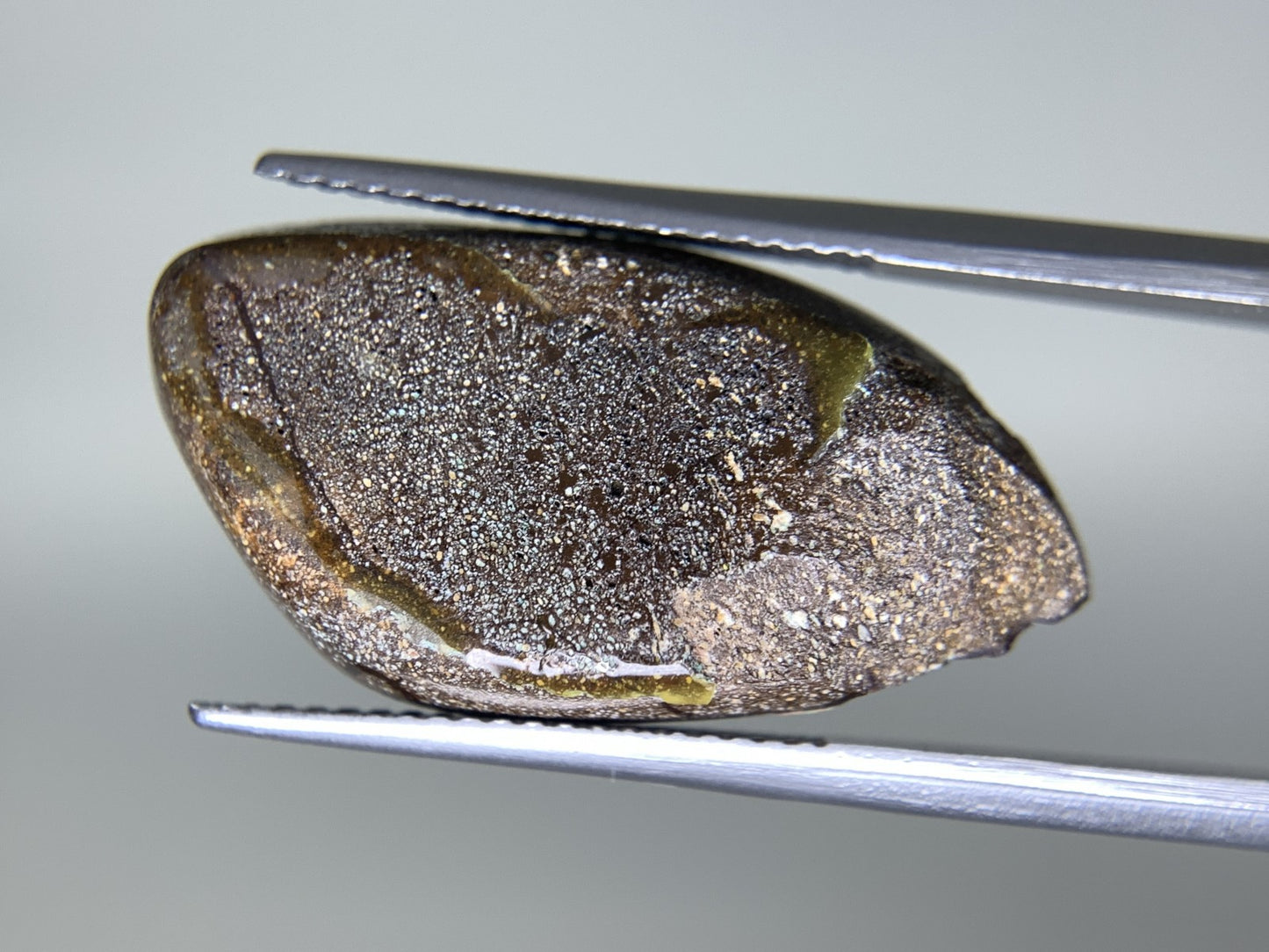 ボルダーオパール 天然  11.487ct  宝石ソーティング付き  26.3㎜×13.3㎜×4.2㎜  ルース（ 裸石 ）  5489Y
