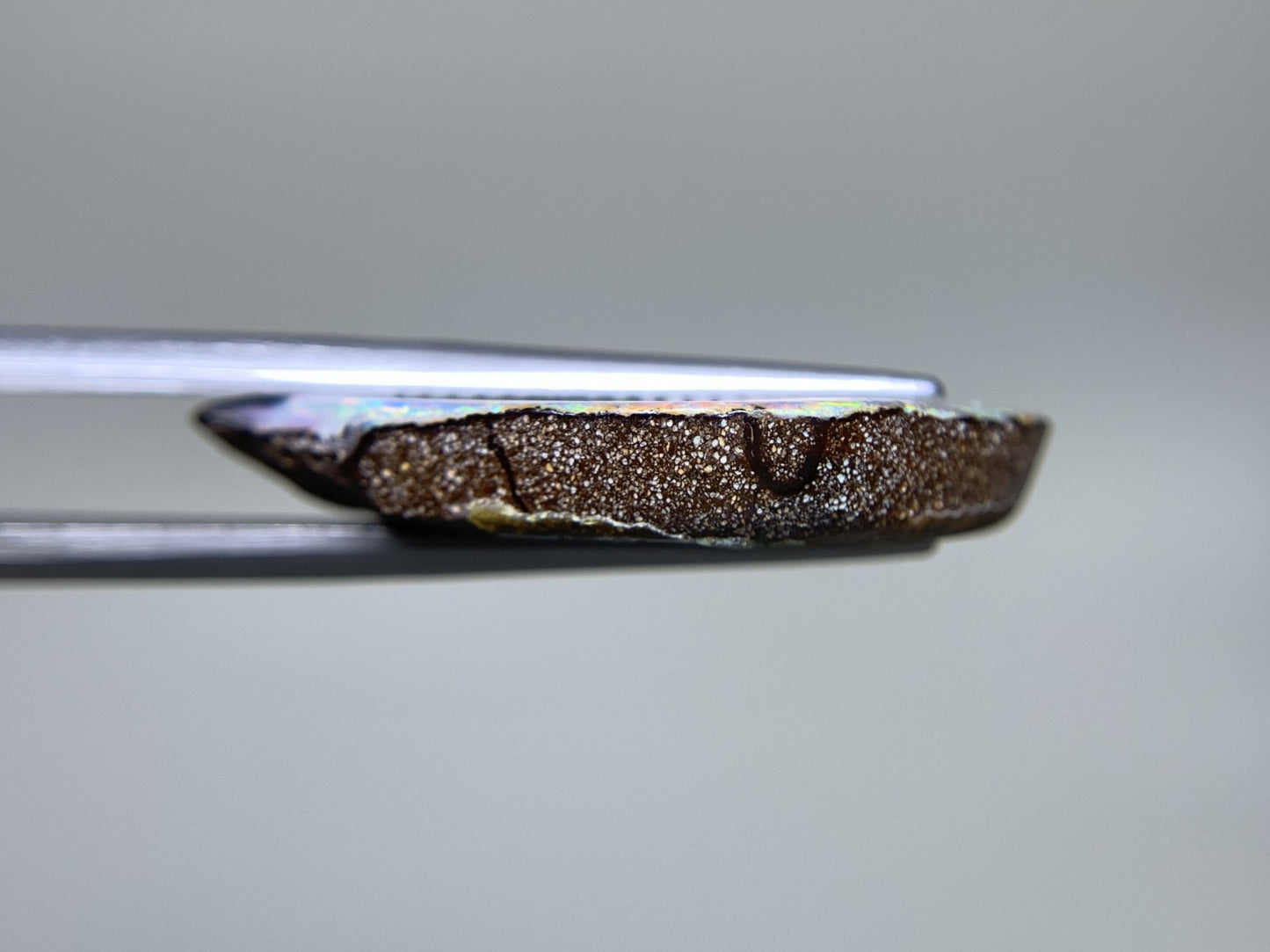 ボルダーオパール 天然  11.487ct  宝石ソーティング付き  26.3㎜×13.3㎜×4.2㎜  ルース（ 裸石 ）  5489Y