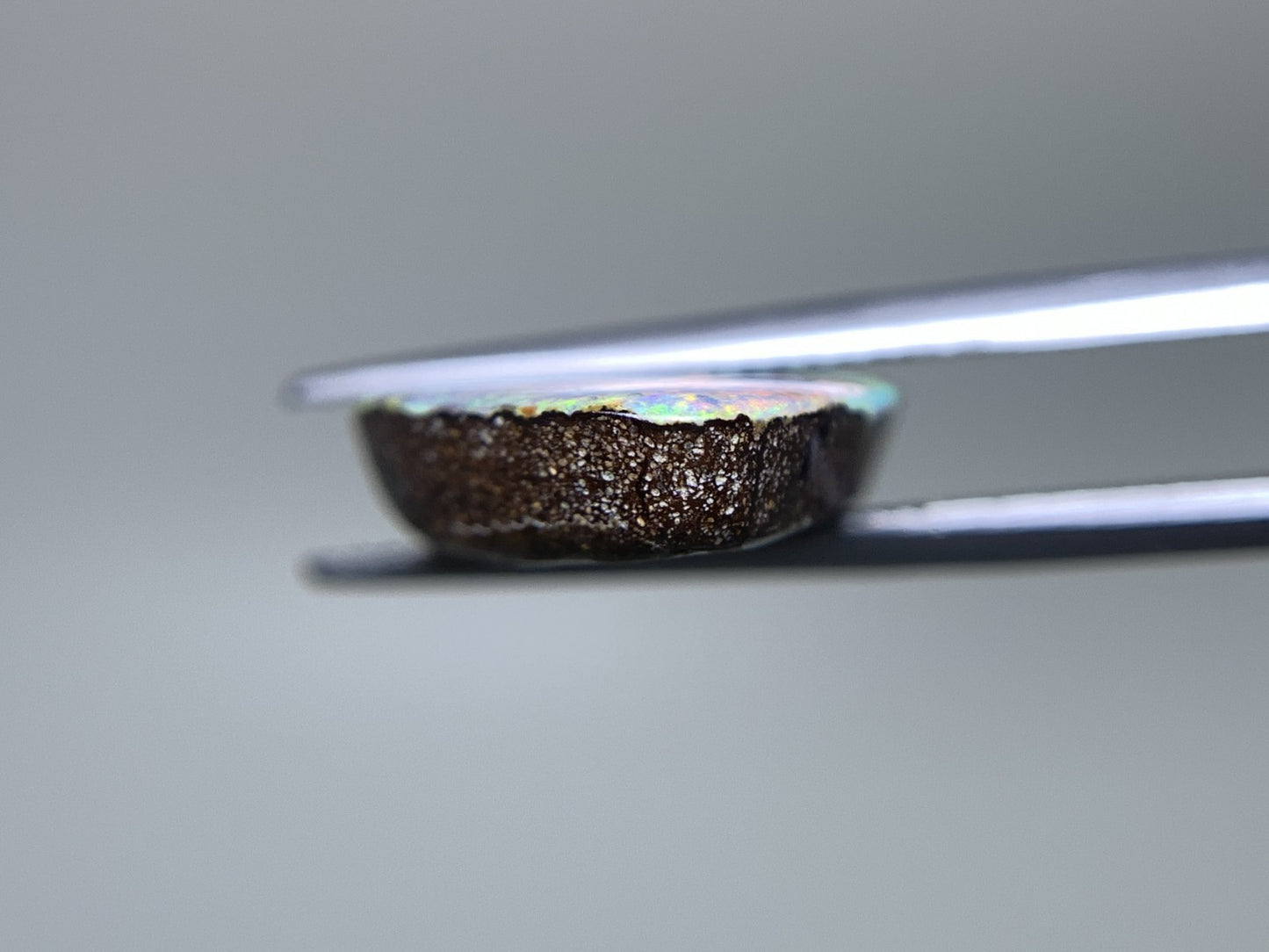 ボルダーオパール 天然  11.487ct  宝石ソーティング付き  26.3㎜×13.3㎜×4.2㎜  ルース（ 裸石 ）  5489Y