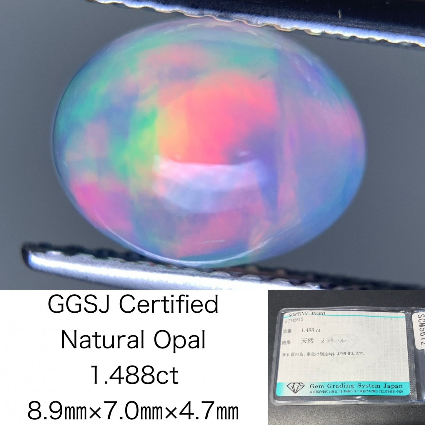 オパール 天然  1.488ct  宝石ソーティング付き  8.9㎜×7.0㎜×4.7㎜  ルース（ 裸石 ）  5158Y