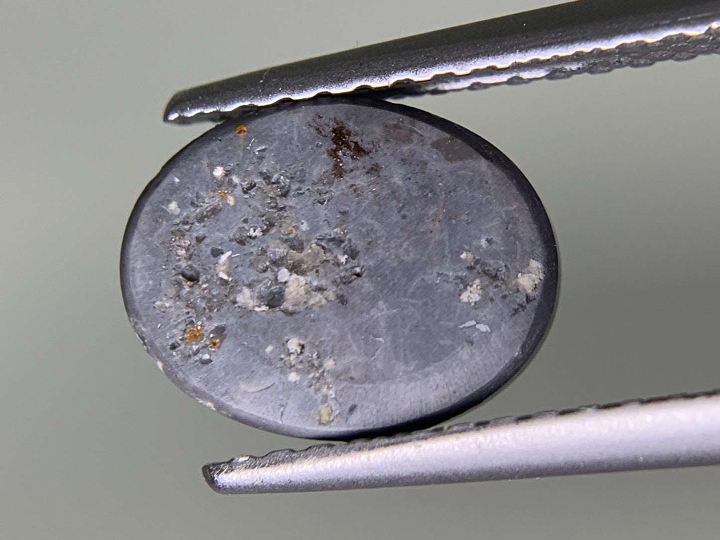 ブラックオパール 天然 1.031ct 宝石ソーティング付き 9.2㎜×7.1㎜×2.2㎜ ルース（ 裸石 ） 6359Y