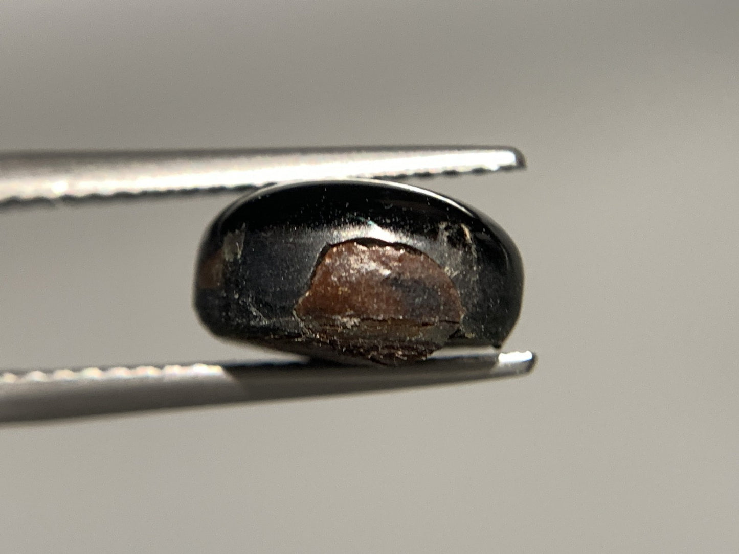 ブラックスターサファイア 天然  5.401ct  宝石ソーティング付き  10.2㎜×8.0㎜×5.5㎜  ルース（ 裸石 ）  5343Y