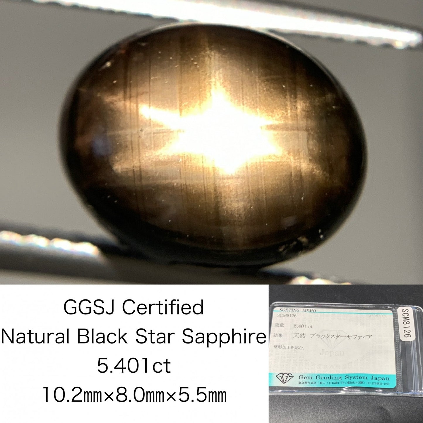 ブラックスターサファイア 天然  5.401ct  宝石ソーティング付き  10.2㎜×8.0㎜×5.5㎜  ルース（ 裸石 ）  5343Y