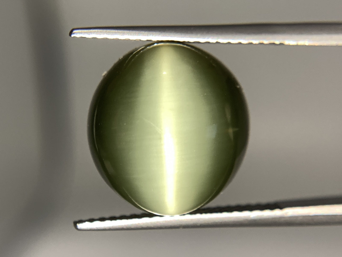 ネフライトキャッツアイ 天然  11.442ct  宝石ソーティング付き  14.0㎜×13.4㎜×7.0㎜  ルース（ 裸石 ）  5033Y