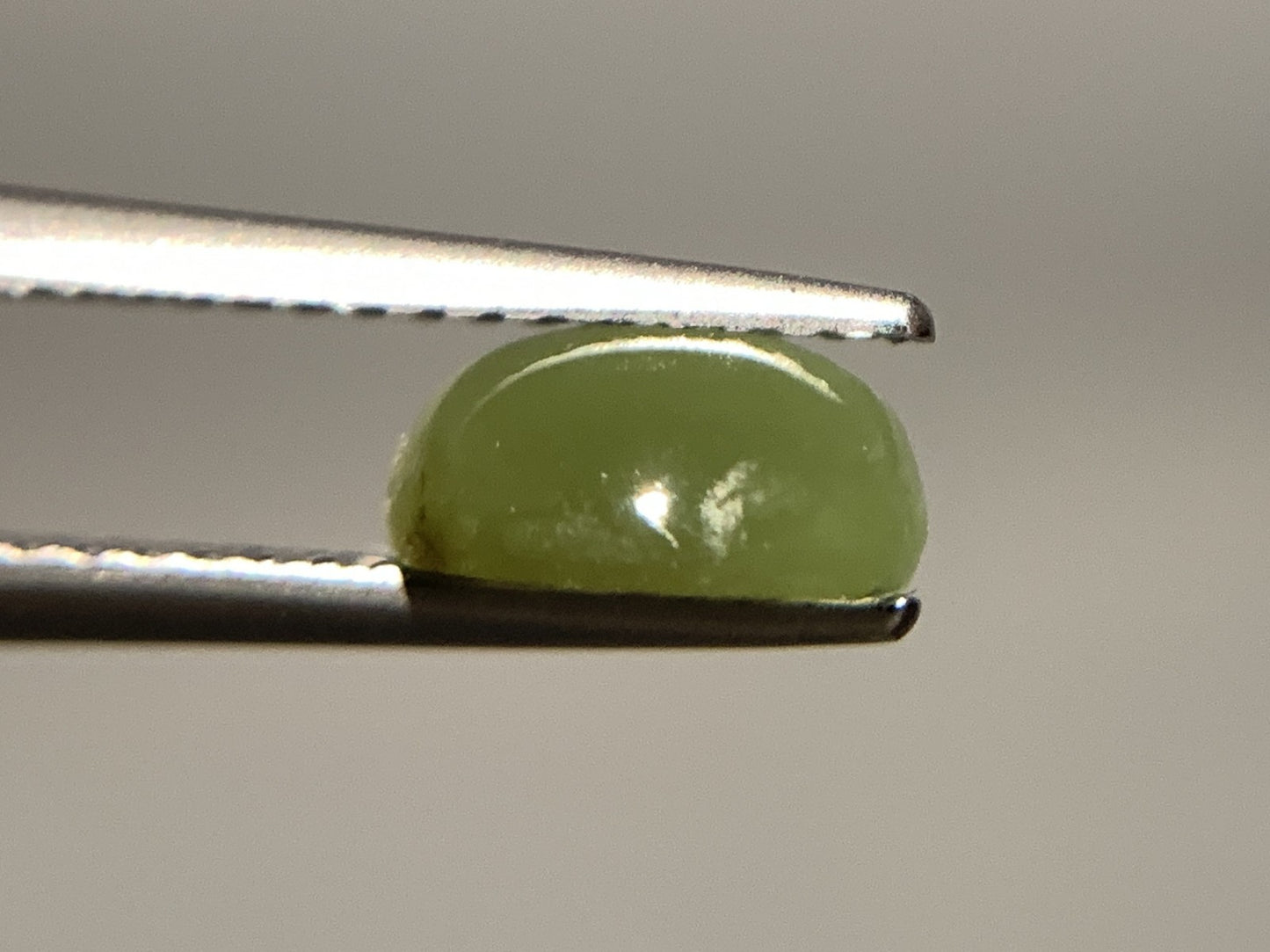 ネフライトキャッツアイ 天然 1.630ct 宝石ソーティング付き 7.6㎜×7.0㎜×3.6㎜ ルース（ 裸石 ） 5035Y