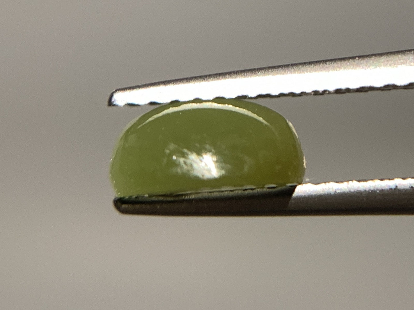 ネフライトキャッツアイ 天然 1.630ct 宝石ソーティング付き 7.6㎜×7.0㎜×3.6㎜ ルース（ 裸石 ） 5035Y