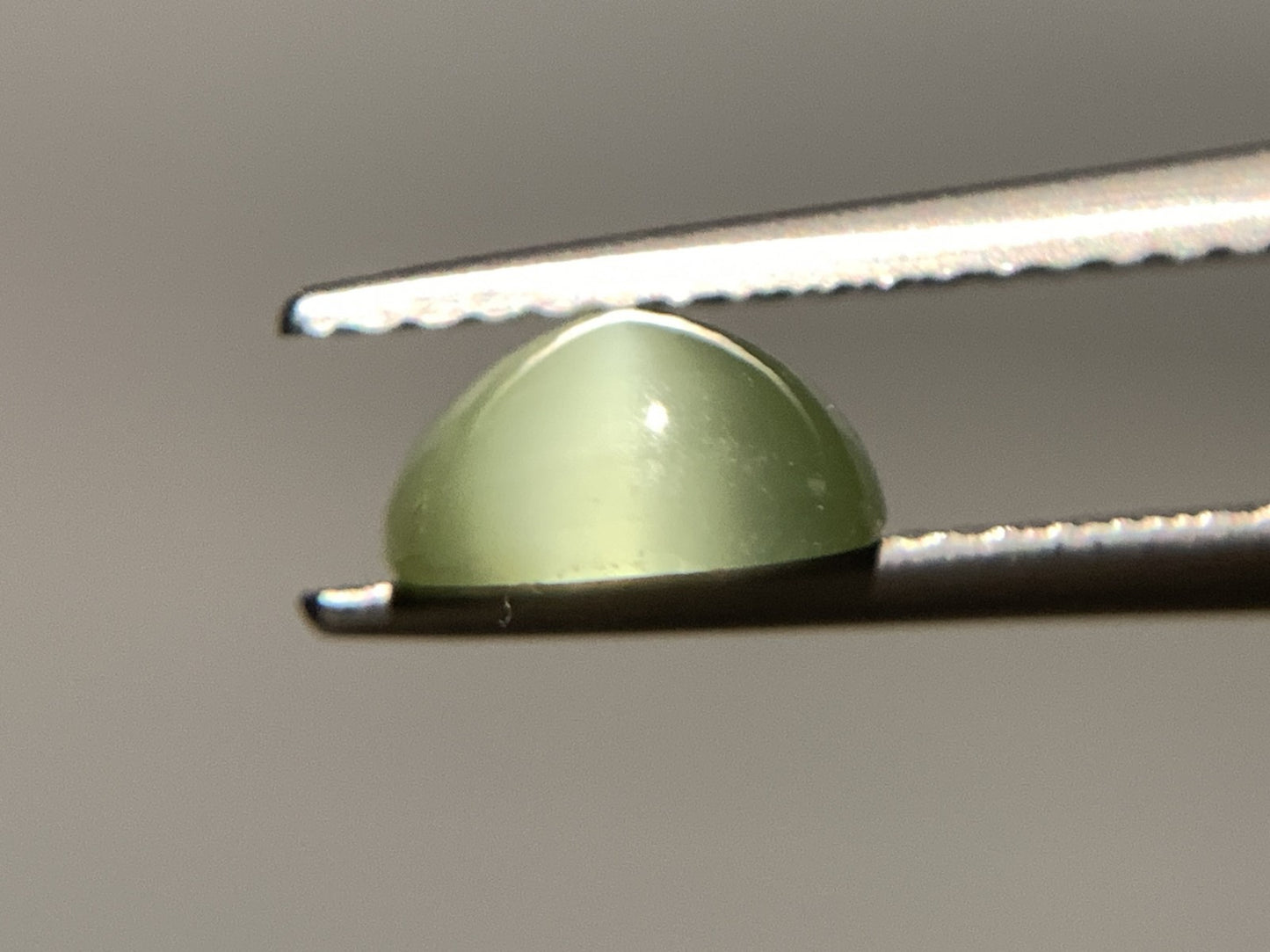 ネフライトキャッツアイ 天然 1.630ct 宝石ソーティング付き 7.6㎜×7.0㎜×3.6㎜ ルース（ 裸石 ） 5035Y