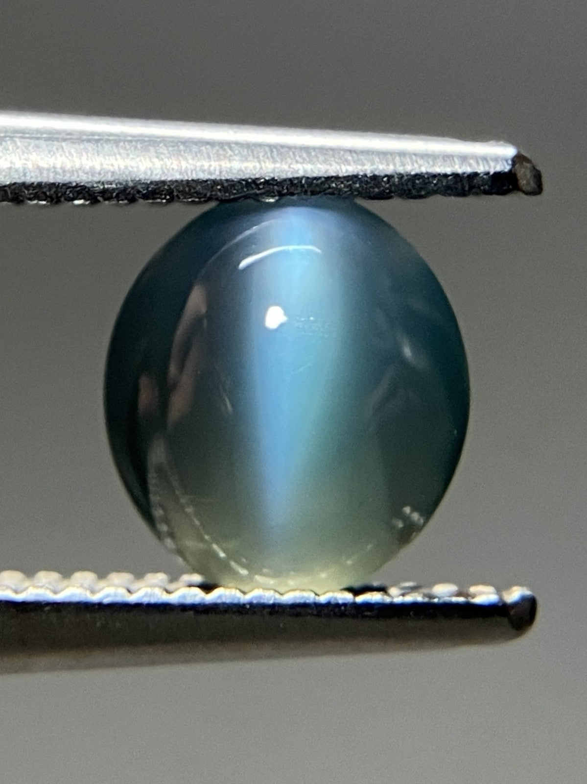 アレキサンドライトキャッツアイ  天然  1.416ct  中央宝石ソーティング付き 6.6㎜×6.0㎜×3.6㎜   天然 ルース（ 裸石 ） 5629YY