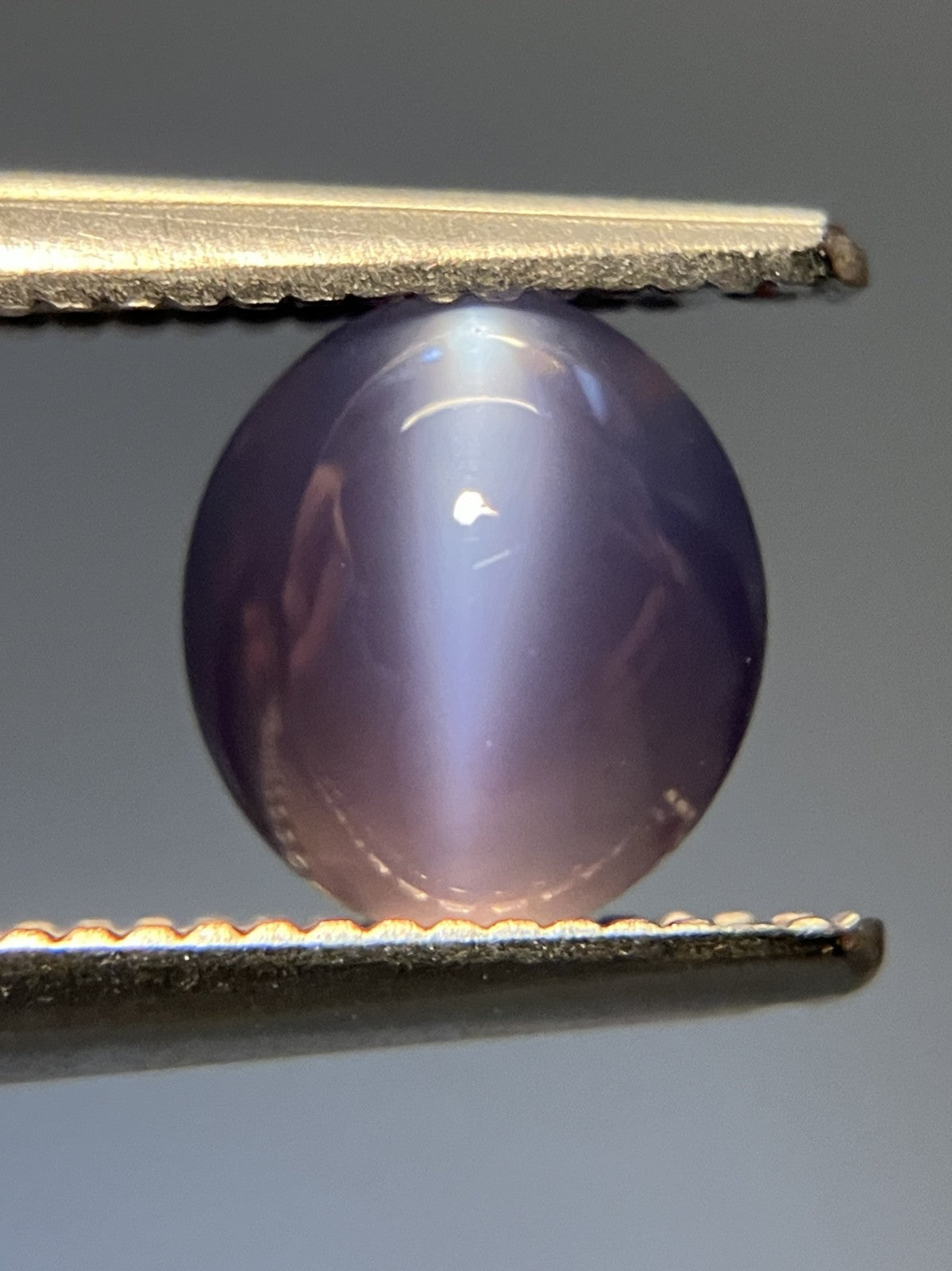アレキサンドライトキャッツアイ  天然  1.416ct  中央宝石ソーティング付き 6.6㎜×6.0㎜×3.6㎜   天然 ルース（ 裸石 ） 5629YY