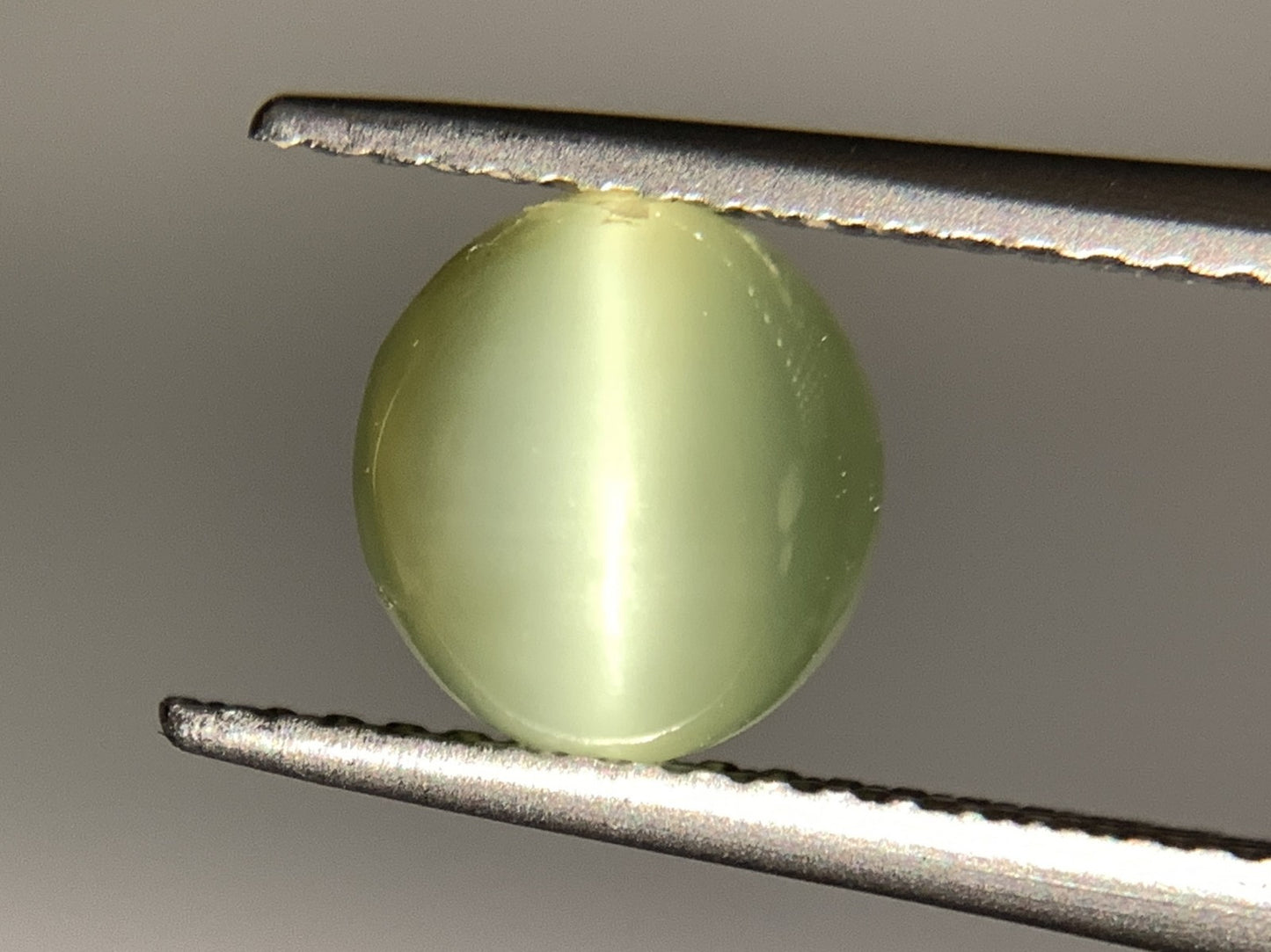 ネフライトキャッツアイ 天然 1.630ct 宝石ソーティング付き 7.6㎜×7.0㎜×3.6㎜ ルース（ 裸石 ） 5035Y