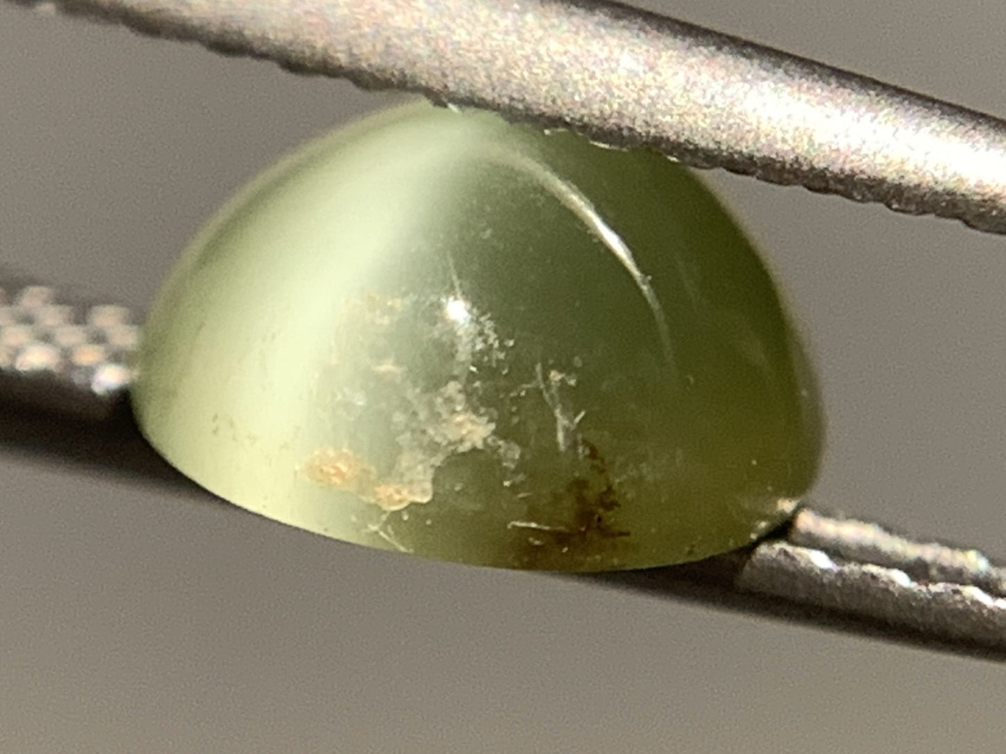 ネフライトキャッツアイ 天然 1.630ct 宝石ソーティング付き 7.6㎜×7.0㎜×3.6㎜ ルース（ 裸石 ） 5035Y