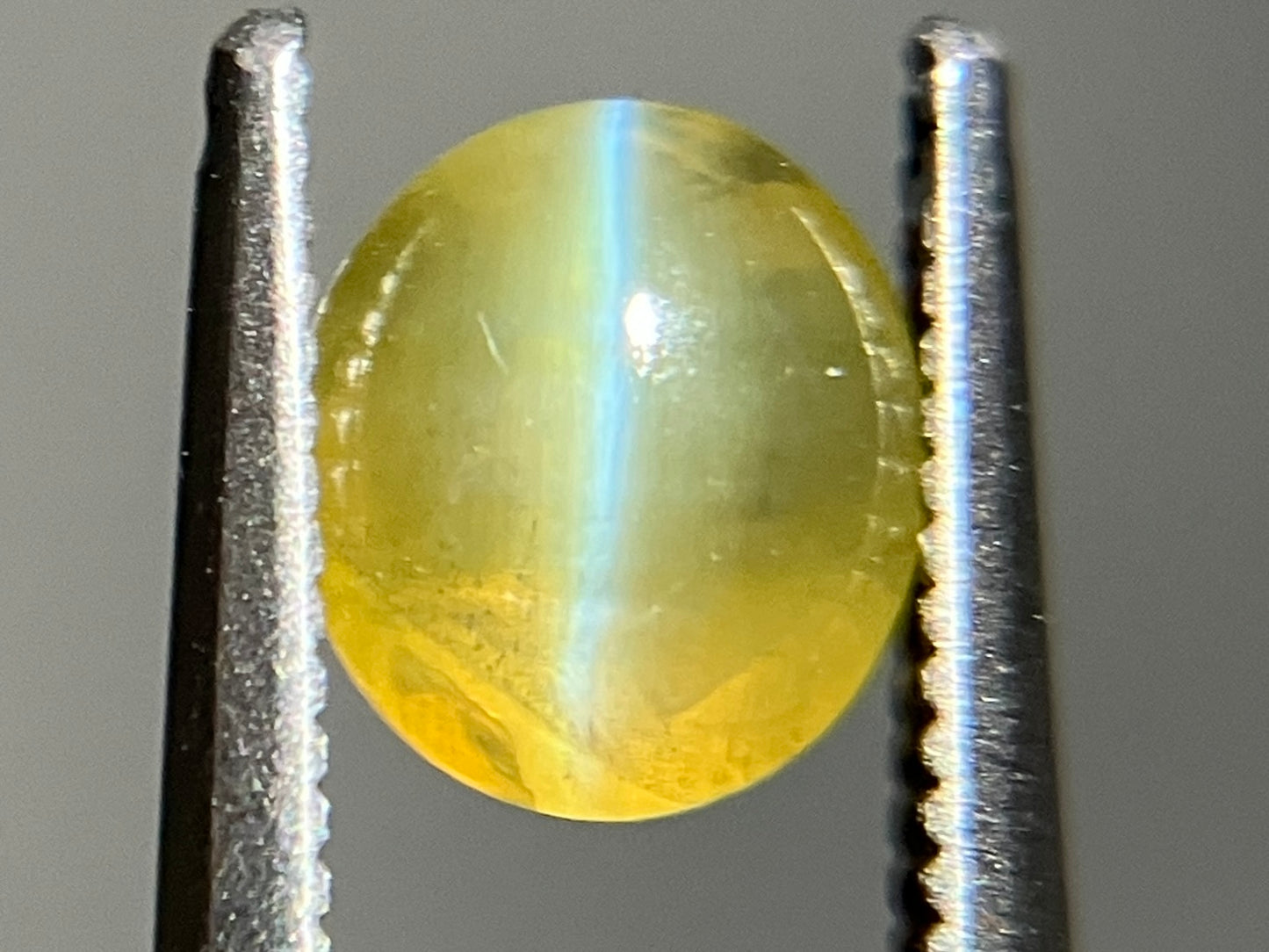 クリソベリルキャッツアイ  天然   1.567ct   宝石ソーティング付き   6.2㎜×5.7㎜×4.5㎜    天然 ルース（ 裸石 ）  5032YY