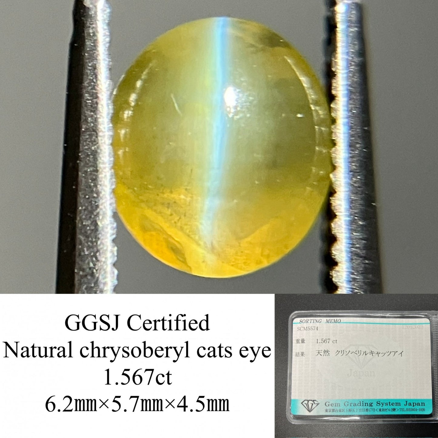 クリソベリルキャッツアイ  天然   1.567ct   宝石ソーティング付き   6.2㎜×5.7㎜×4.5㎜    天然 ルース（ 裸石 ）  5032YY