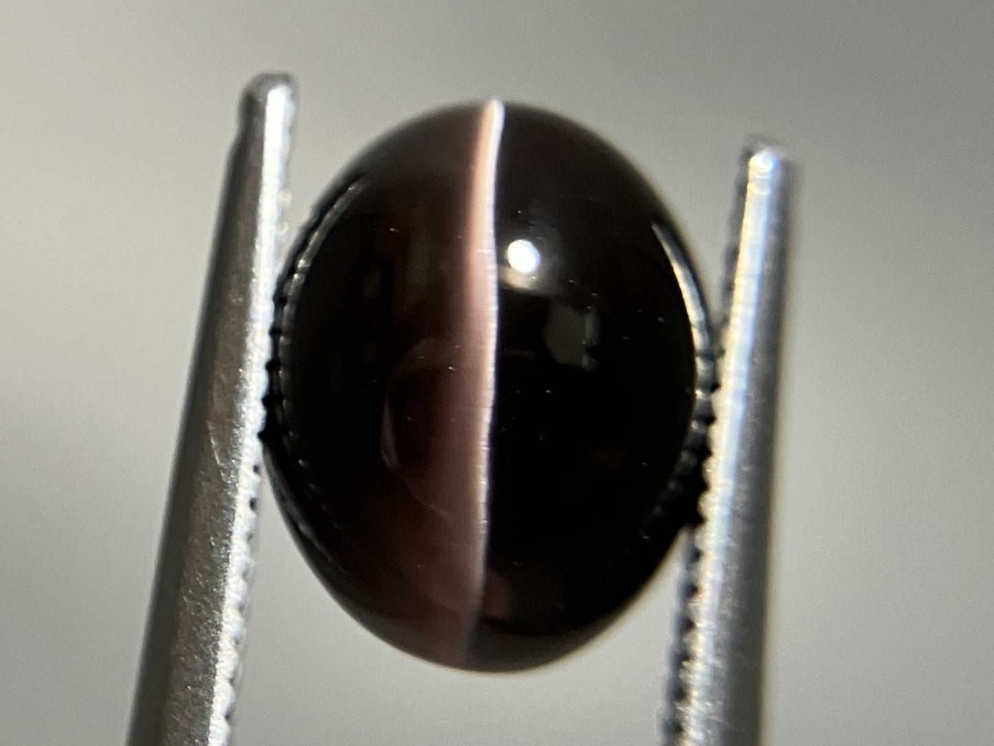シリマナイトキャッツアイ  天然   4.251ct   宝石ソーティング付き   10.0㎜×7.8㎜×5.8㎜    天然 ルース（ 裸石 ）  5087YY