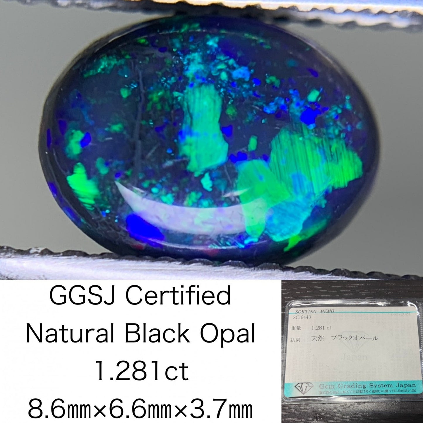 ブラックオパール 1.281ct  宝石ソーティング付き  8.6㎜×6.6㎜×3.7㎜ ルース（ 裸石 ） 2209Y