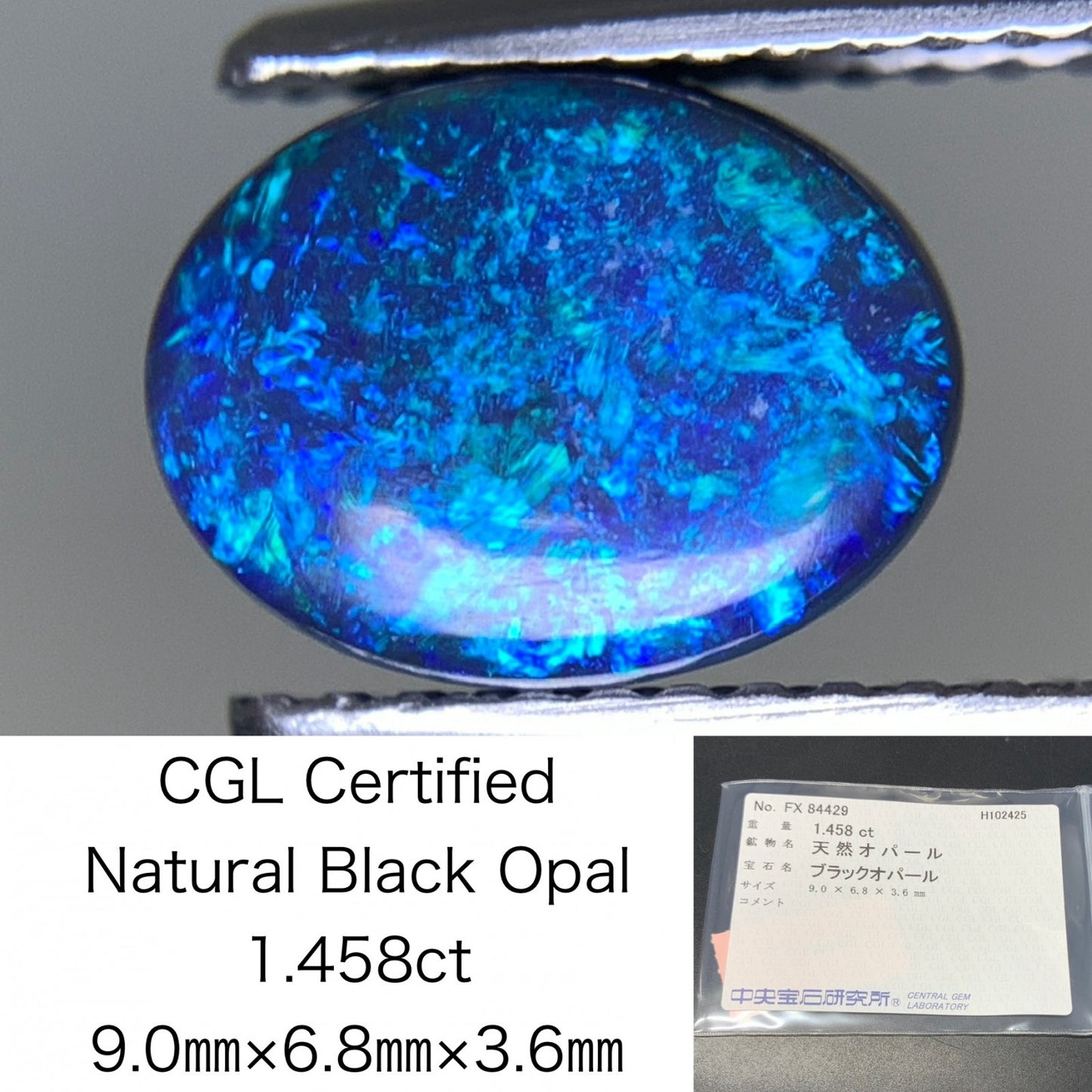 ブラックオパール 天然 1.458ct 中央宝石ソーティング付き 9.0㎜×6.8㎜×3.6㎜ ルース（ 裸石 ） 7130Y