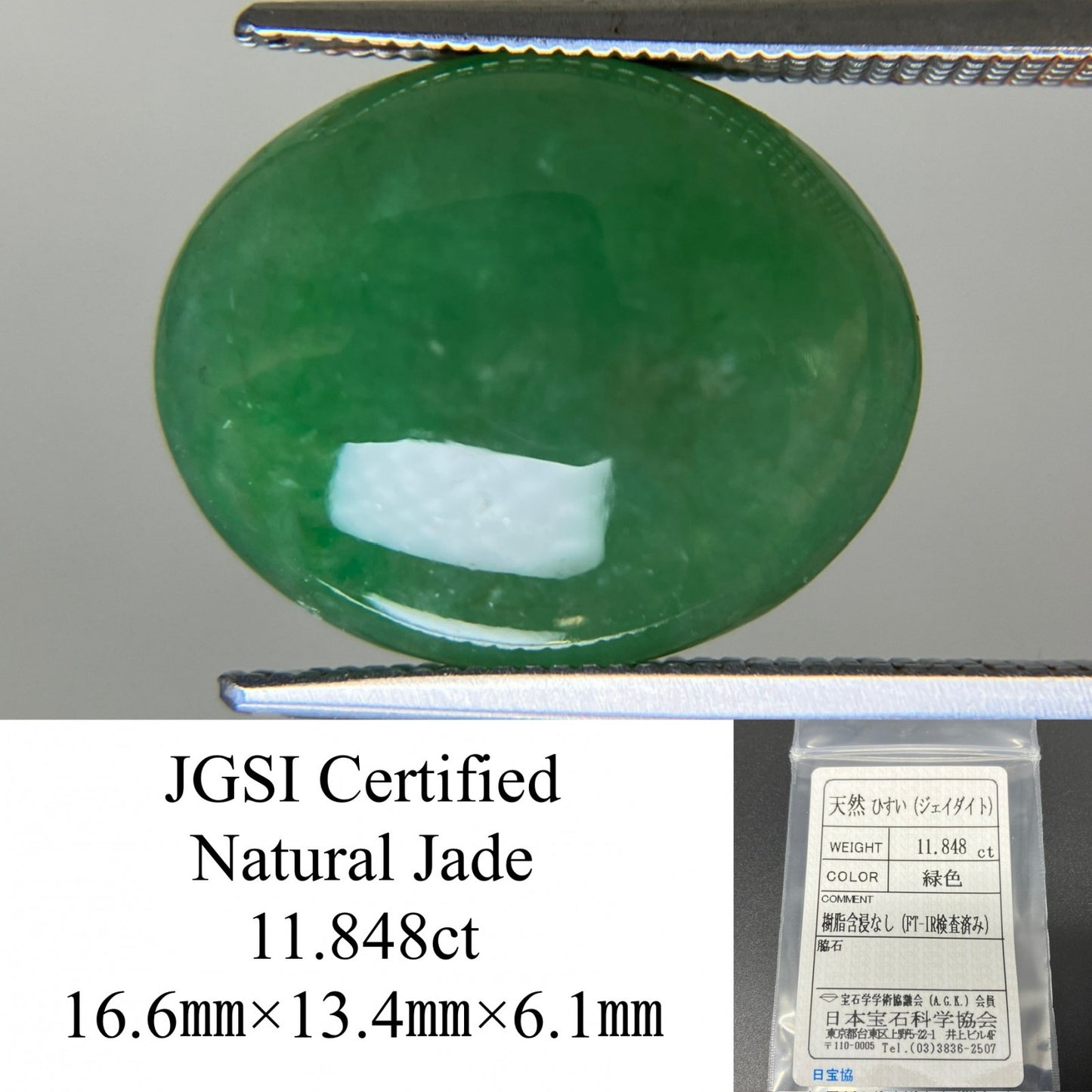 ヒスイ 翡翠 天然 11.848ct 宝石ソーティング付き 16.6㎜×13.4㎜×6.1㎜ ルース（ 裸石 ） 5703YY