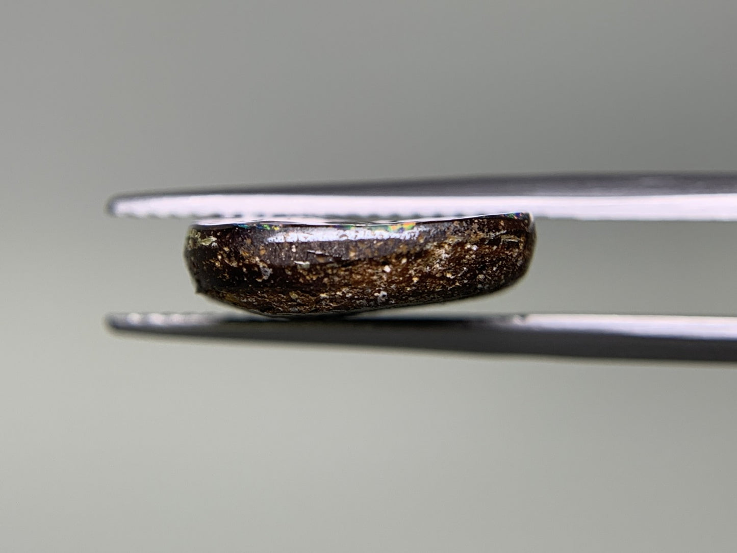 ボルダーオパール 9.557ct 宝石ソーティング付き  19.4㎜×13.3㎜×4.0㎜  ルース（ 裸石 ） 3276Y