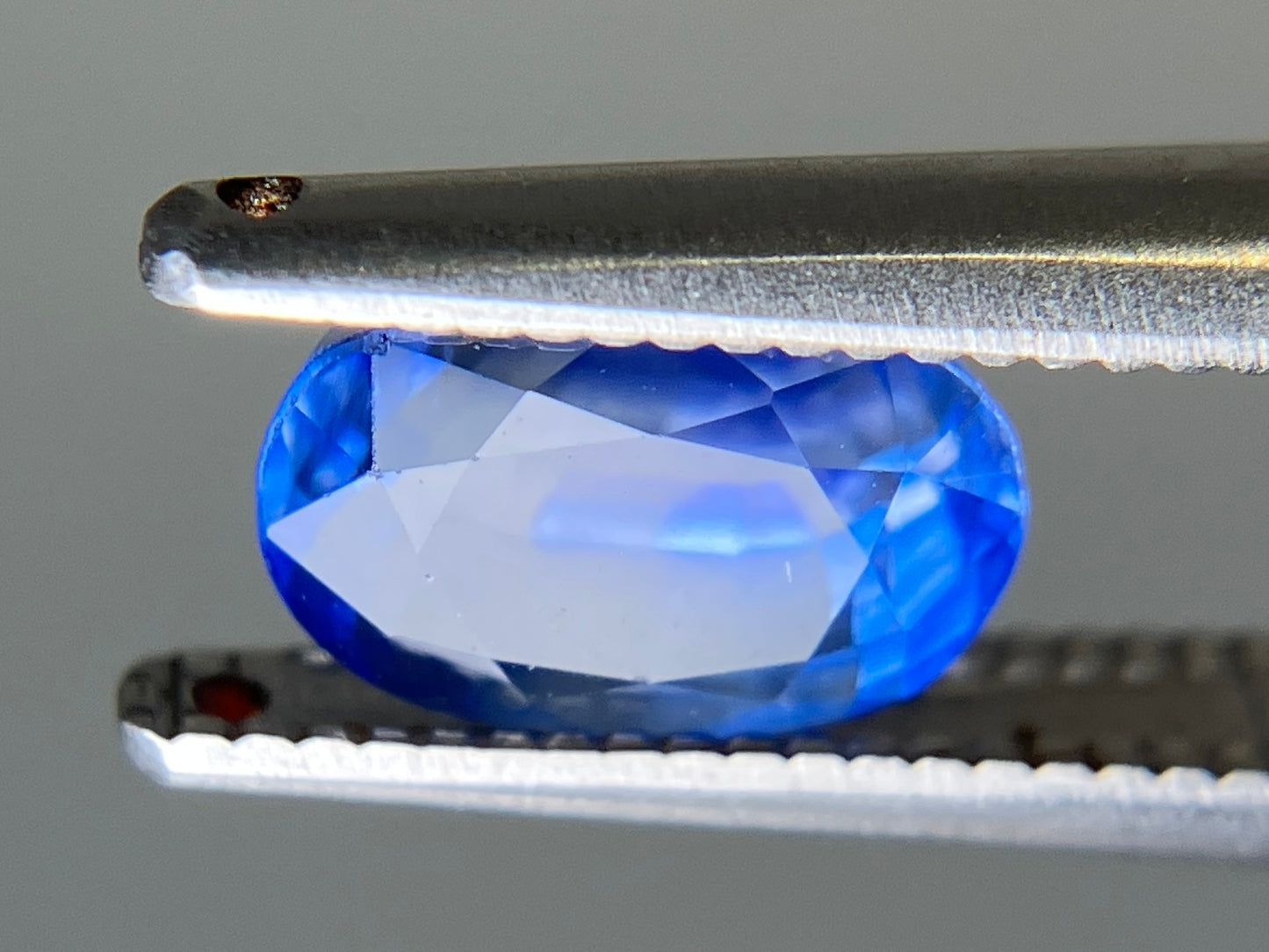 ブルーサファイア 天然  1.661ct  中央宝石ソーティング付き  7.49㎜×5.23㎜×4.55㎜  ルース（ 裸石 ） 5765YY